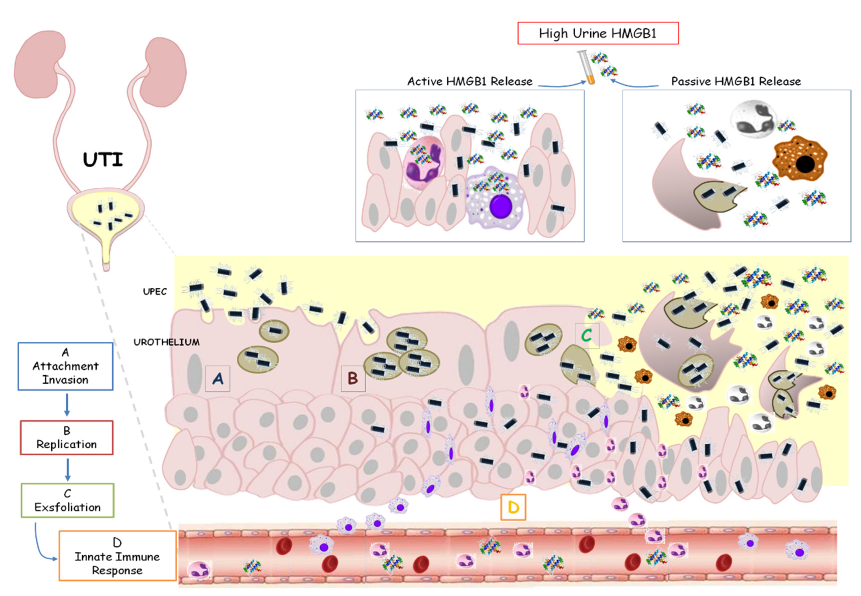 Children 10 00047 g004