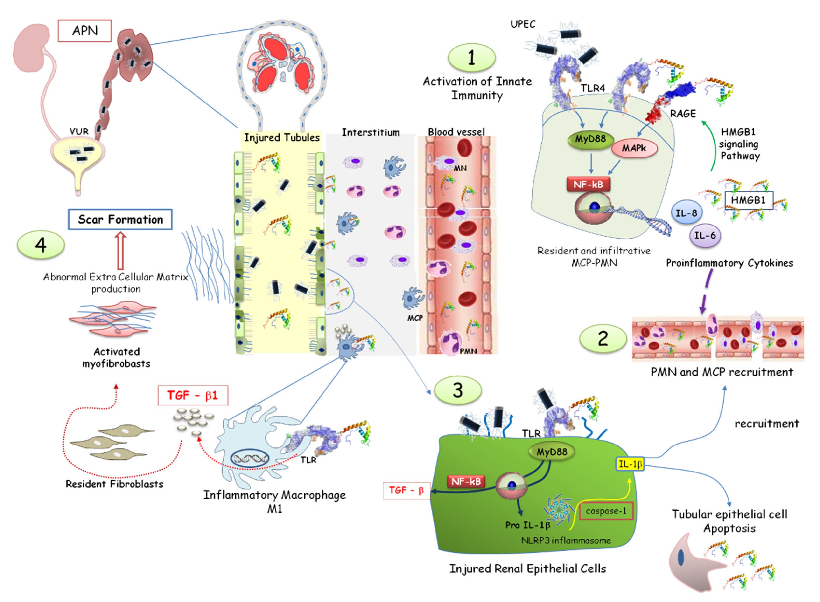 Children 10 00047 g005