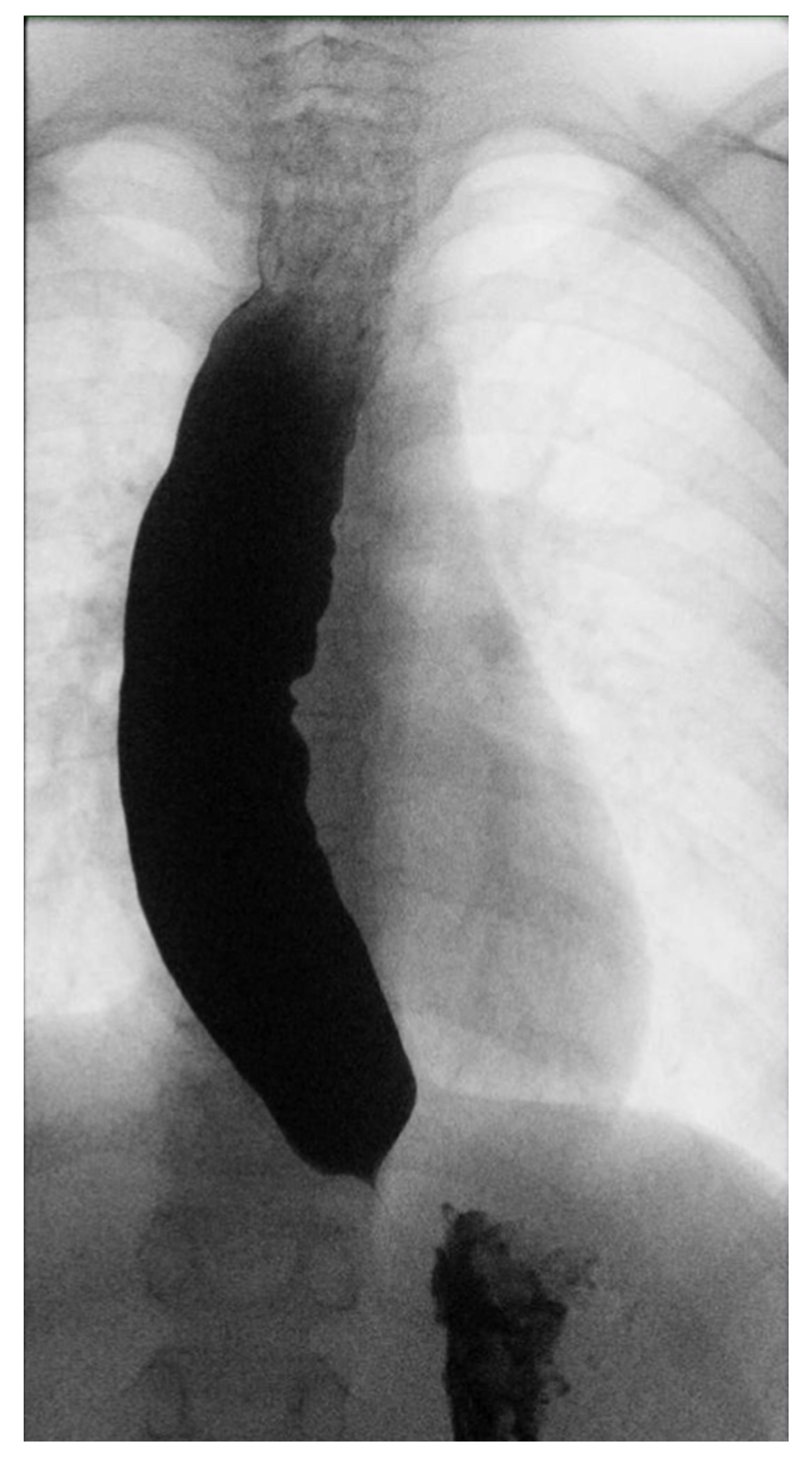 Children 10 00063 g001 Children 10 00063 g001