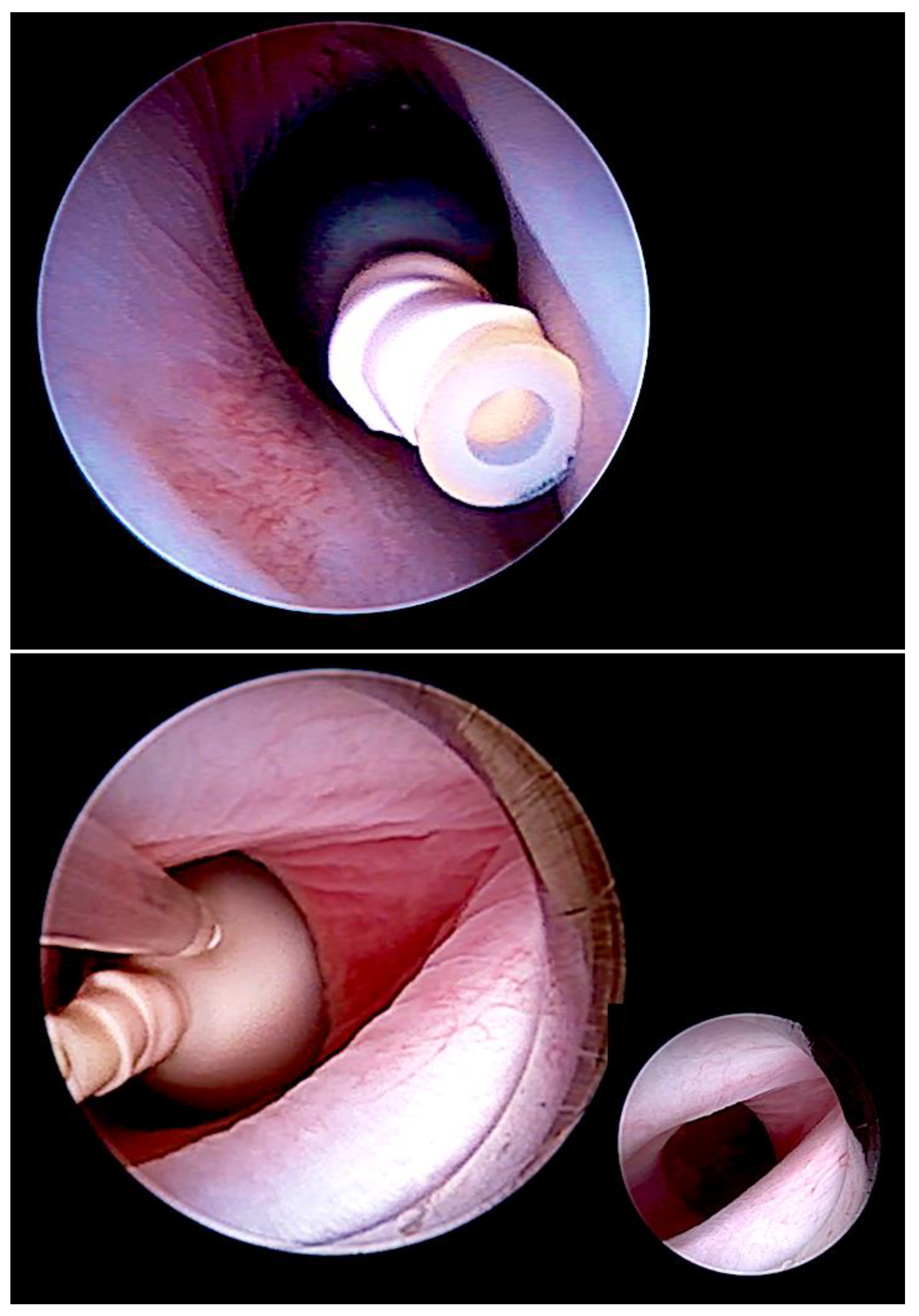 Children 10 00067 g002 Children 10 00067 g002