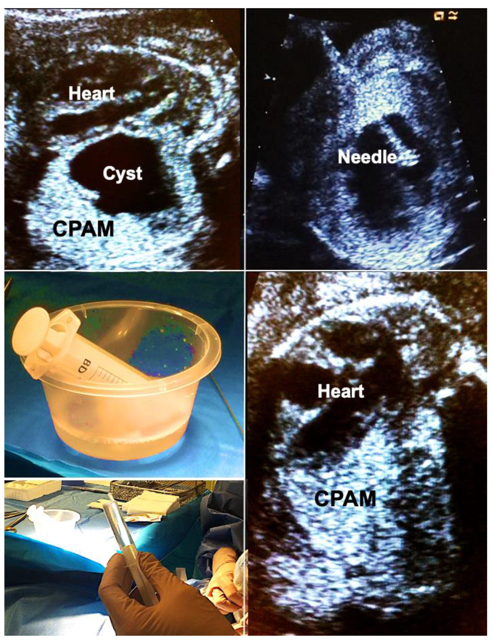 Children 10 00067 g005 Children 10 00067 g005