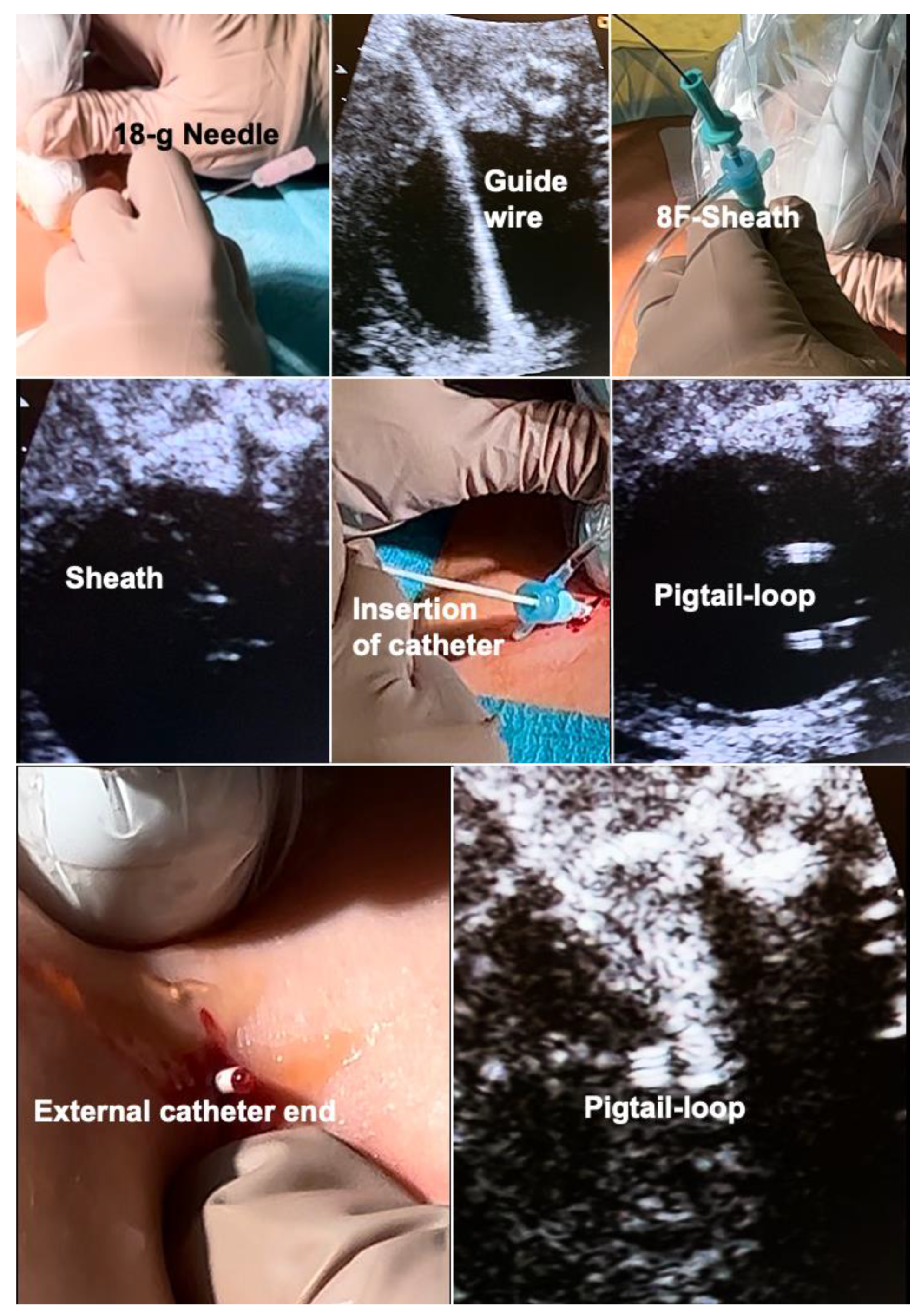 Children 10 00067 g007 Children 10 00067 g007