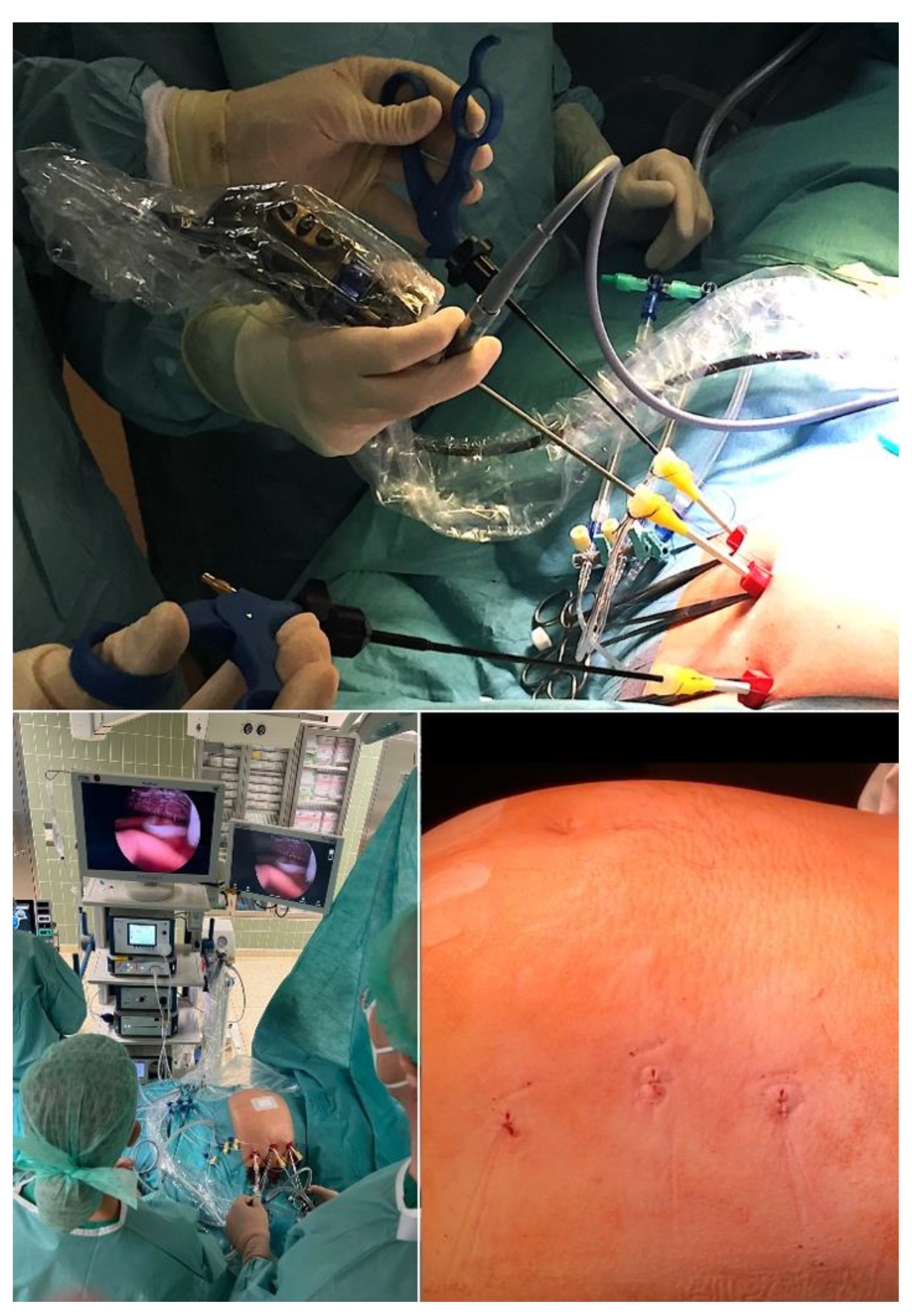 Children 10 00067 g008 Children 10 00067 g008