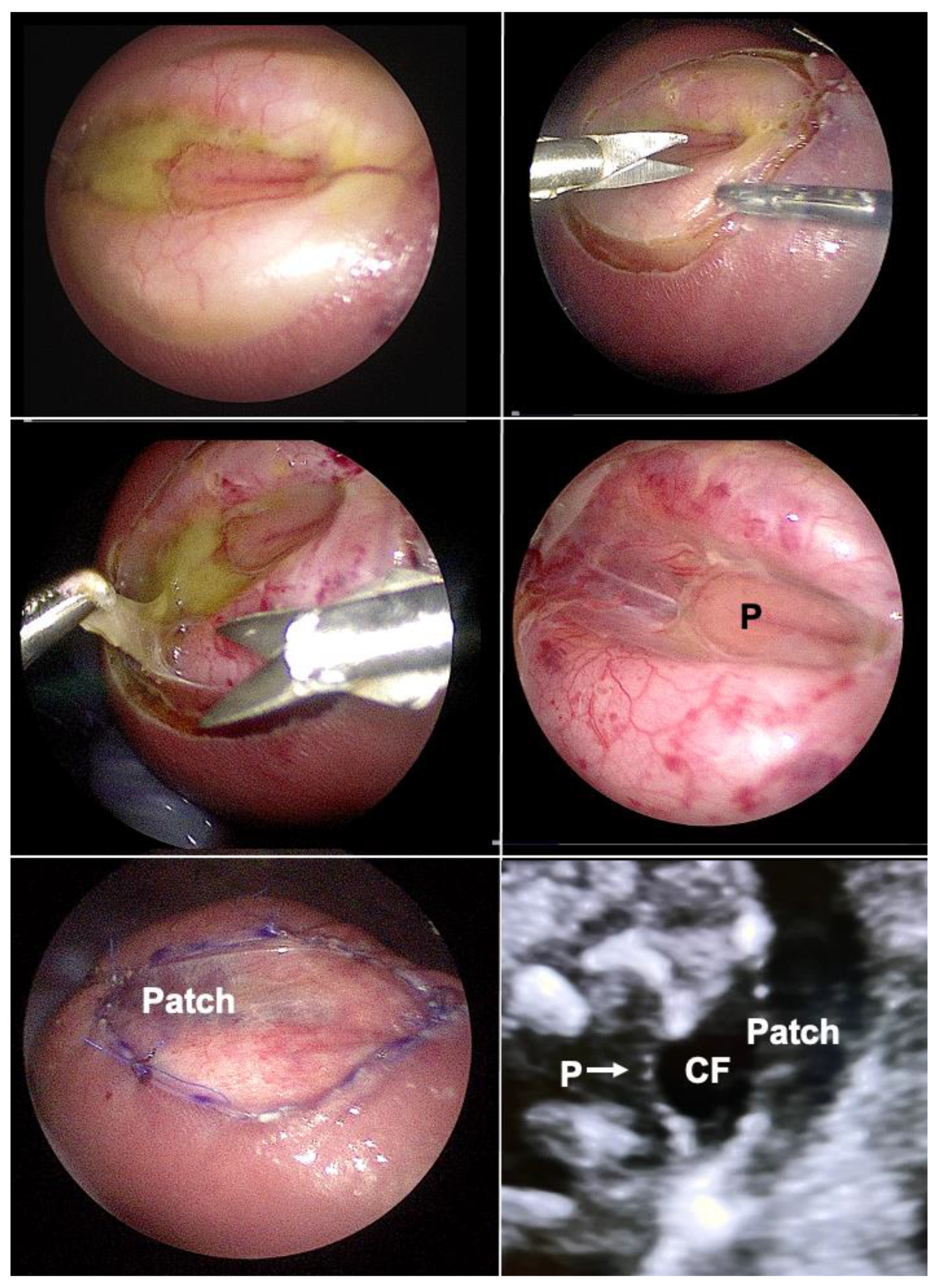 Children 10 00067 g009 Children 10 00067 g009