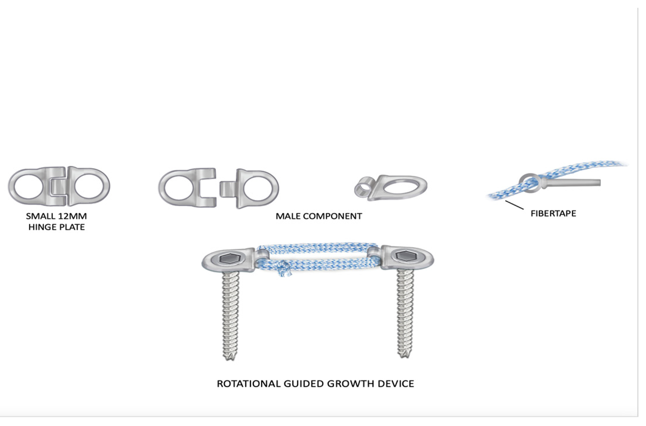 Children 10 00070 g002 Children 10 00070 g002