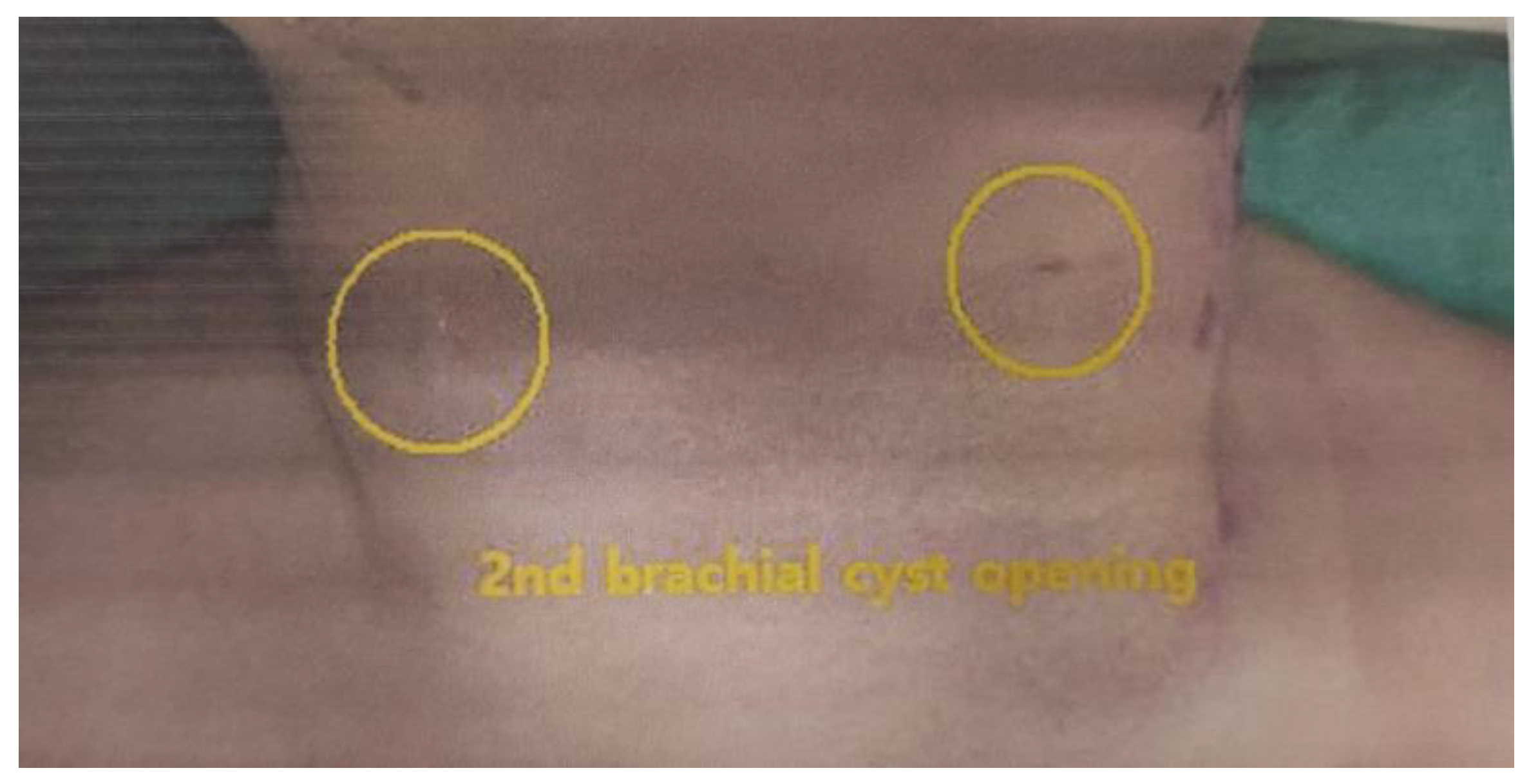 Children 10 00076 g002