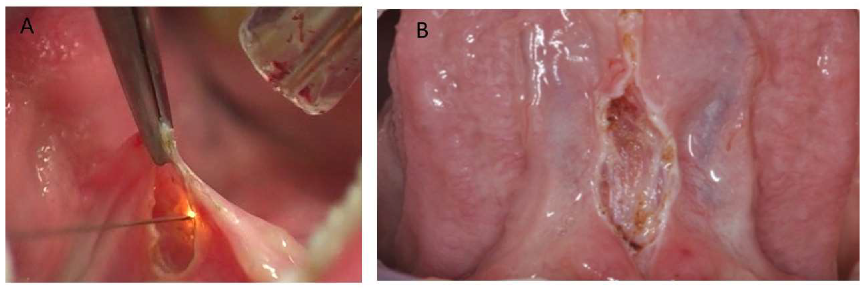 Children 10 00105 g002 Children 10 00105 g002