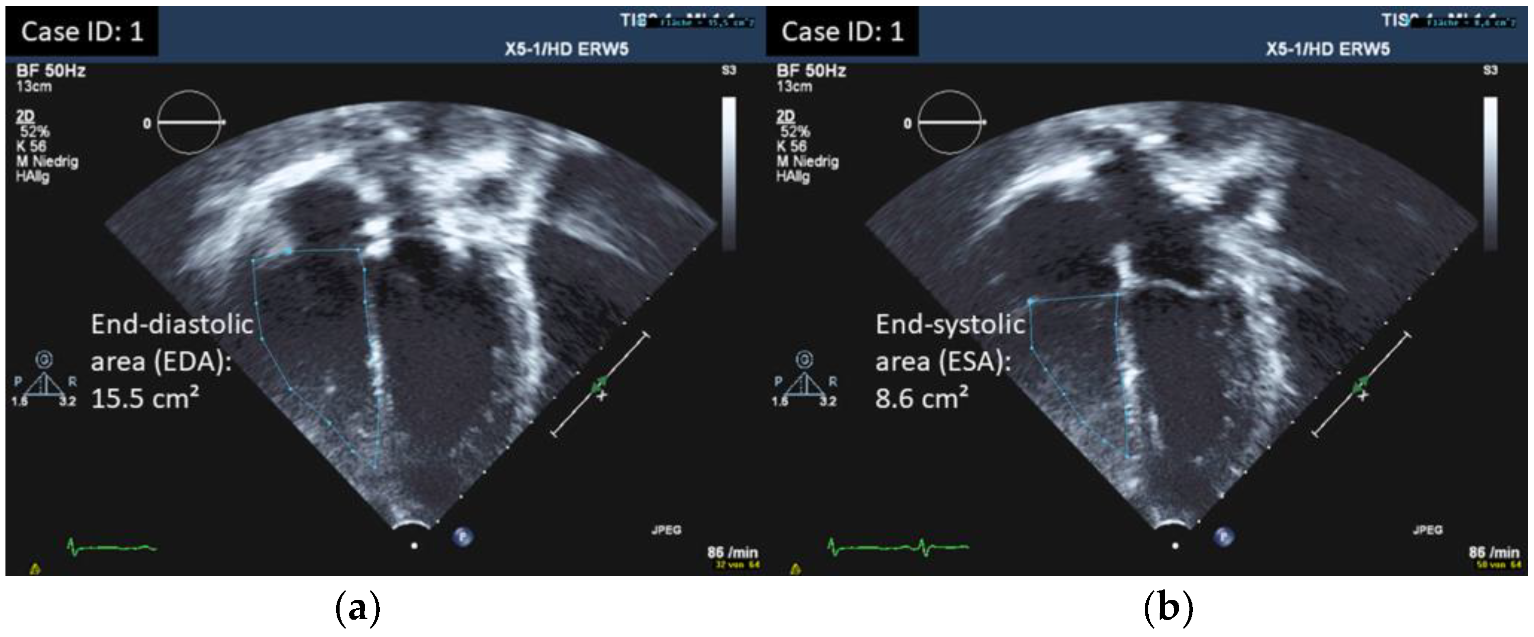 Children 10 00113 g002 Children 10 00113 g002