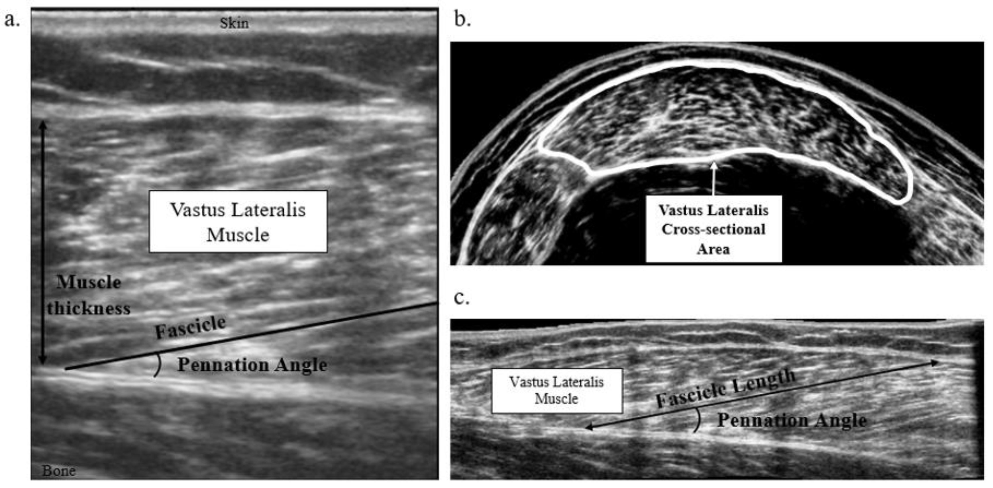 Children 10 00114 g001 Children 10 00114 g001
