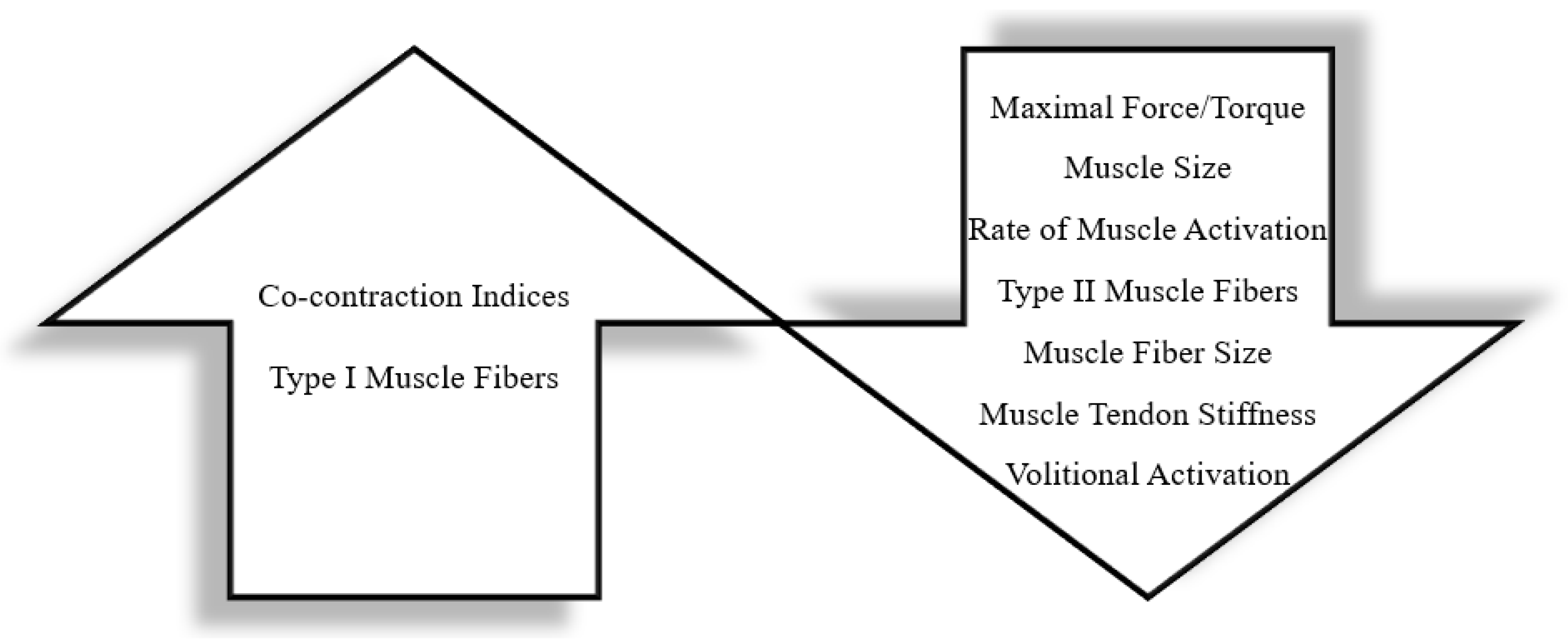 Children 10 00114 g003 Children 10 00114 g003