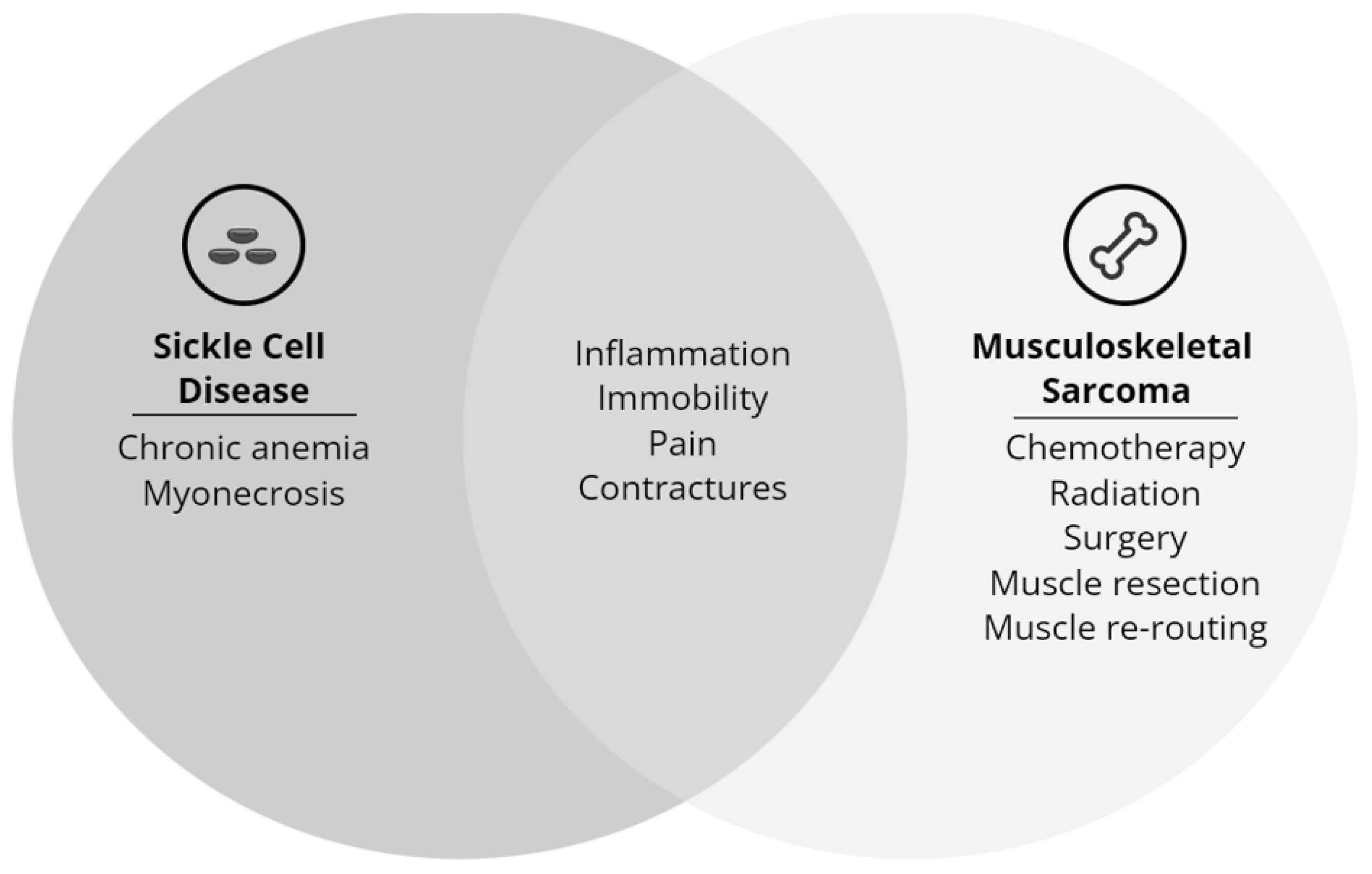 Children 10 00114 g004 Children 10 00114 g004