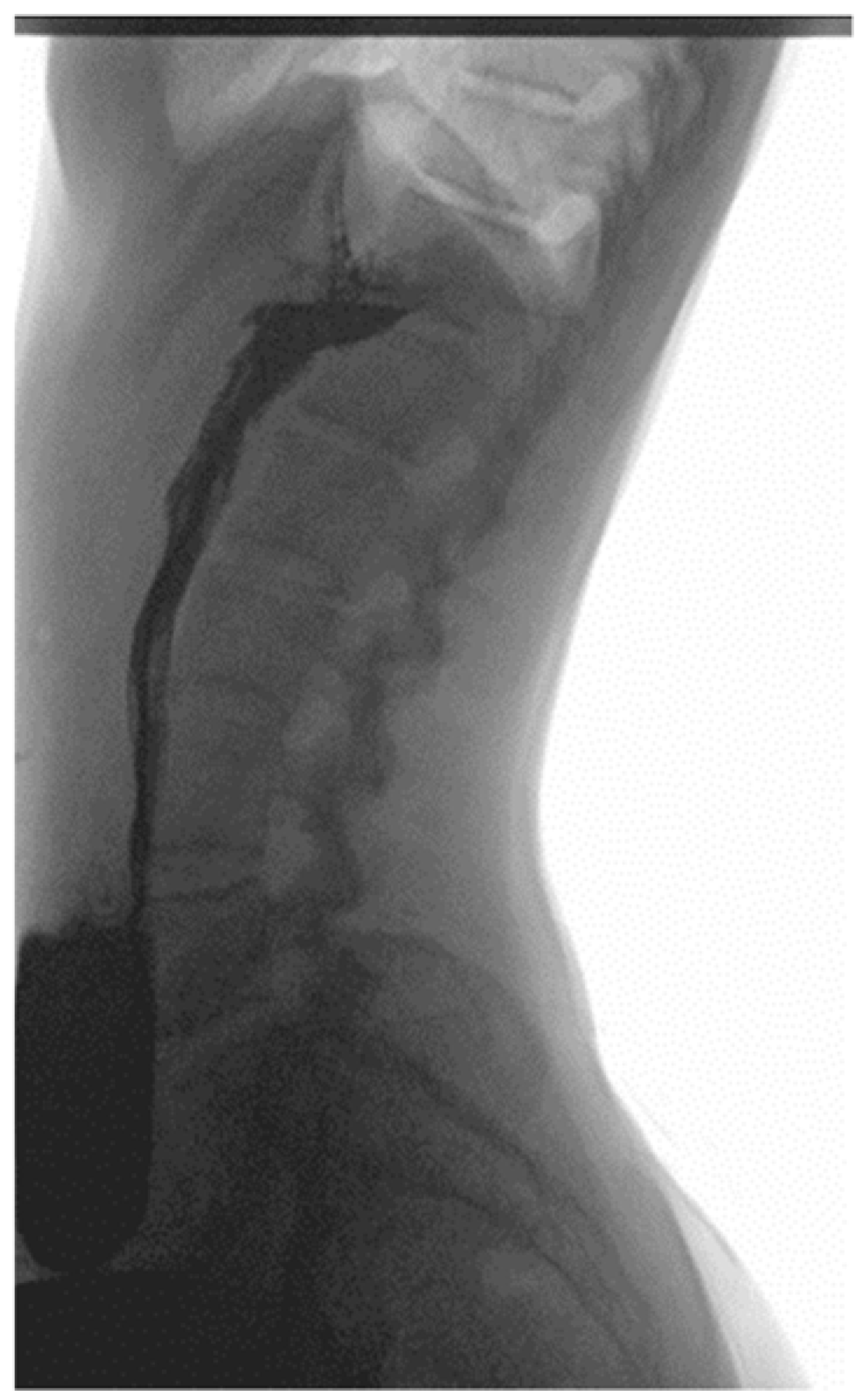 Children 10 00116 g002 Children 10 00116 g002