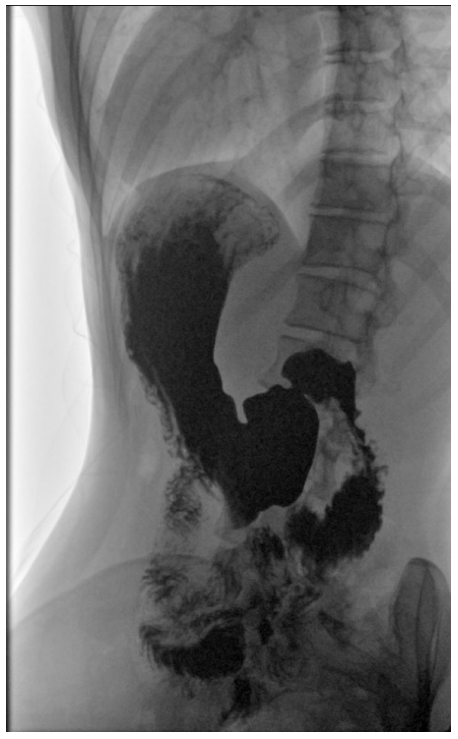 Children 10 00116 g003 Children 10 00116 g003