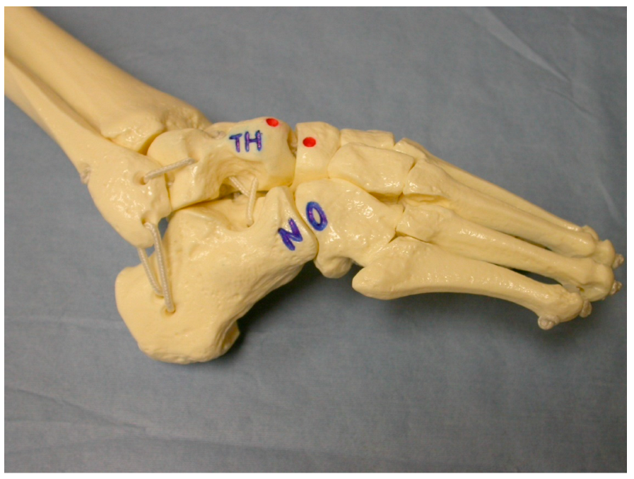 Children 10 00152 g002