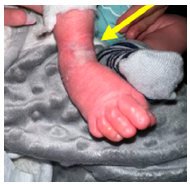 Children 10 00152 g008