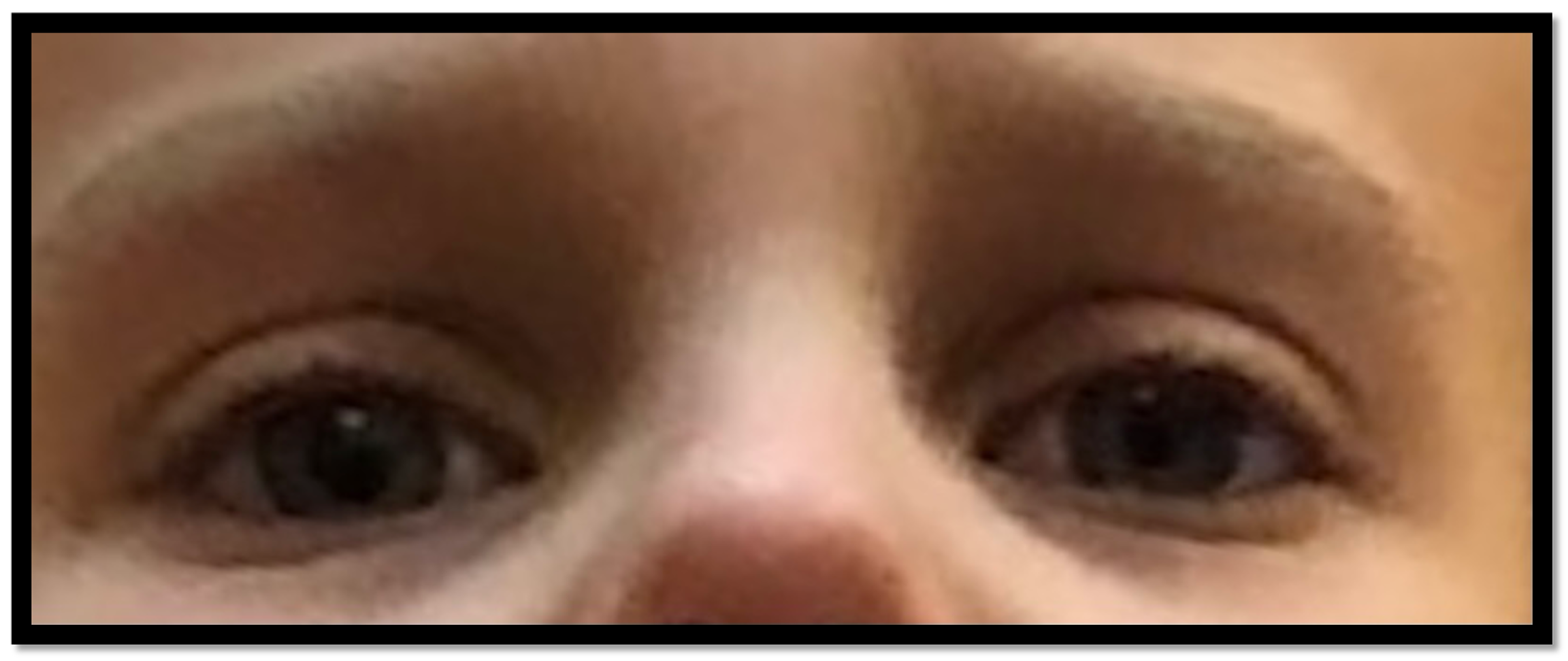 Children 10 00156 g008