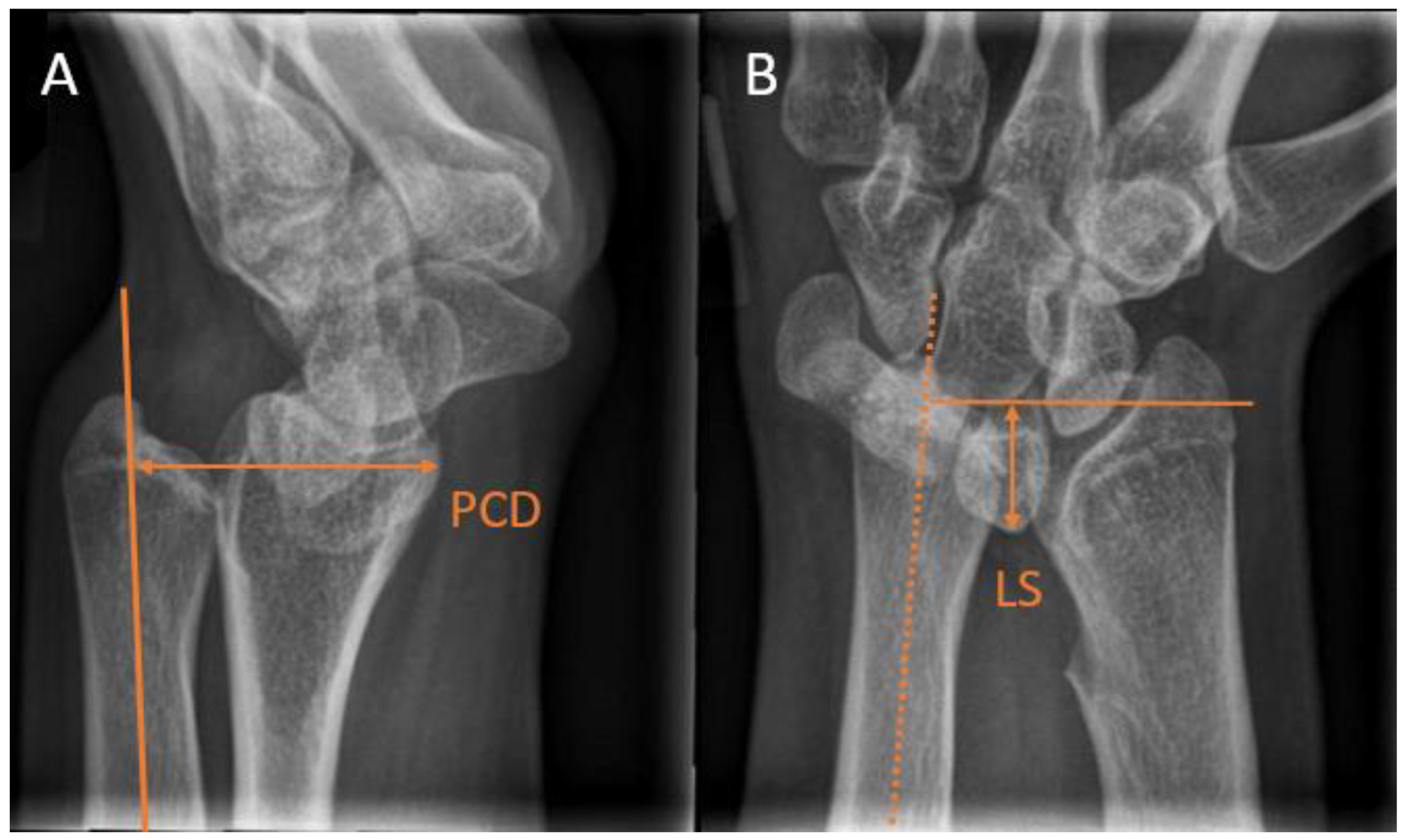 Children 10 00195 g006