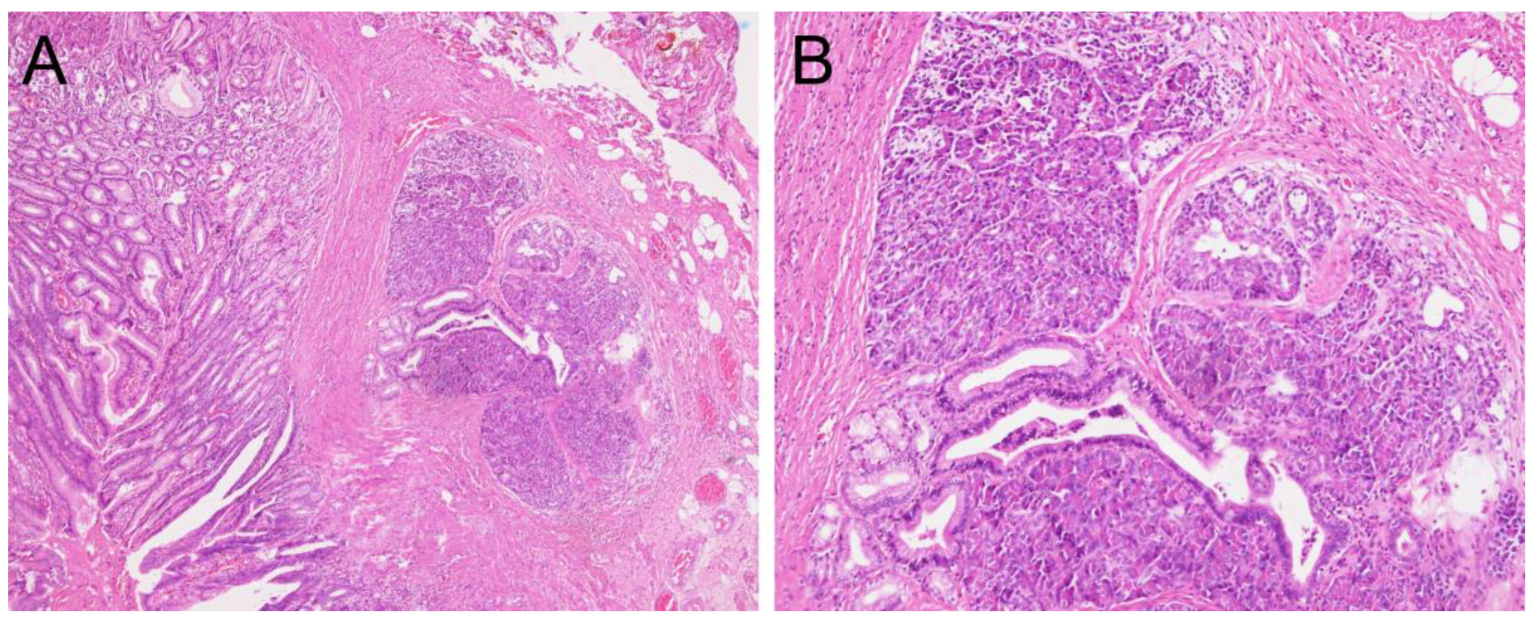 Children 10 00201 g003