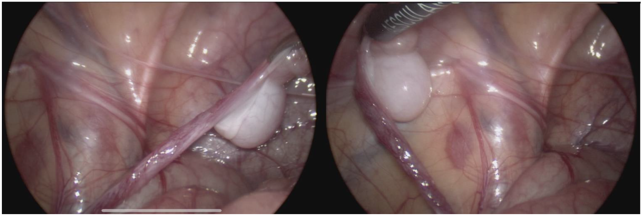 Children 10 00205 g002 Children 10 00205 g002