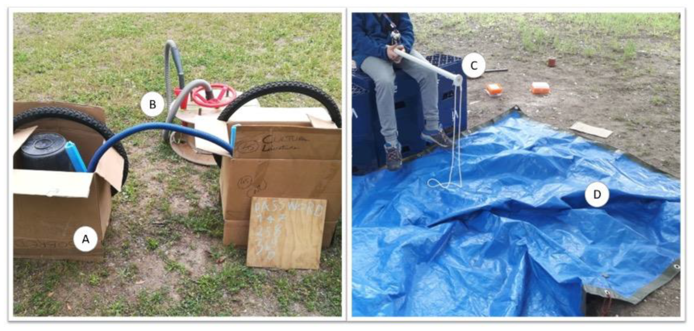 Children 10 00240 g001