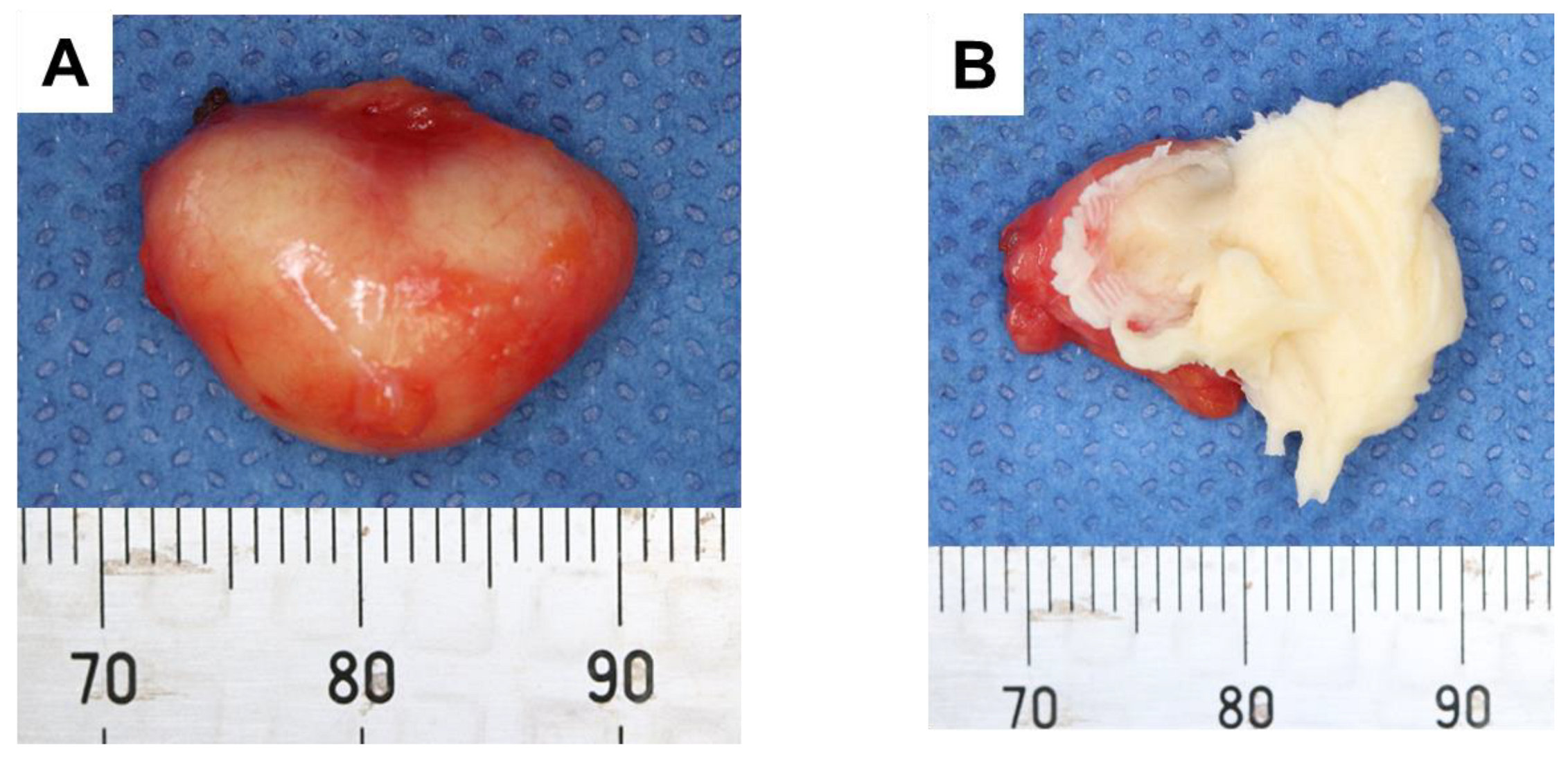 Children 10 00254 g004 Children 10 00254 g004