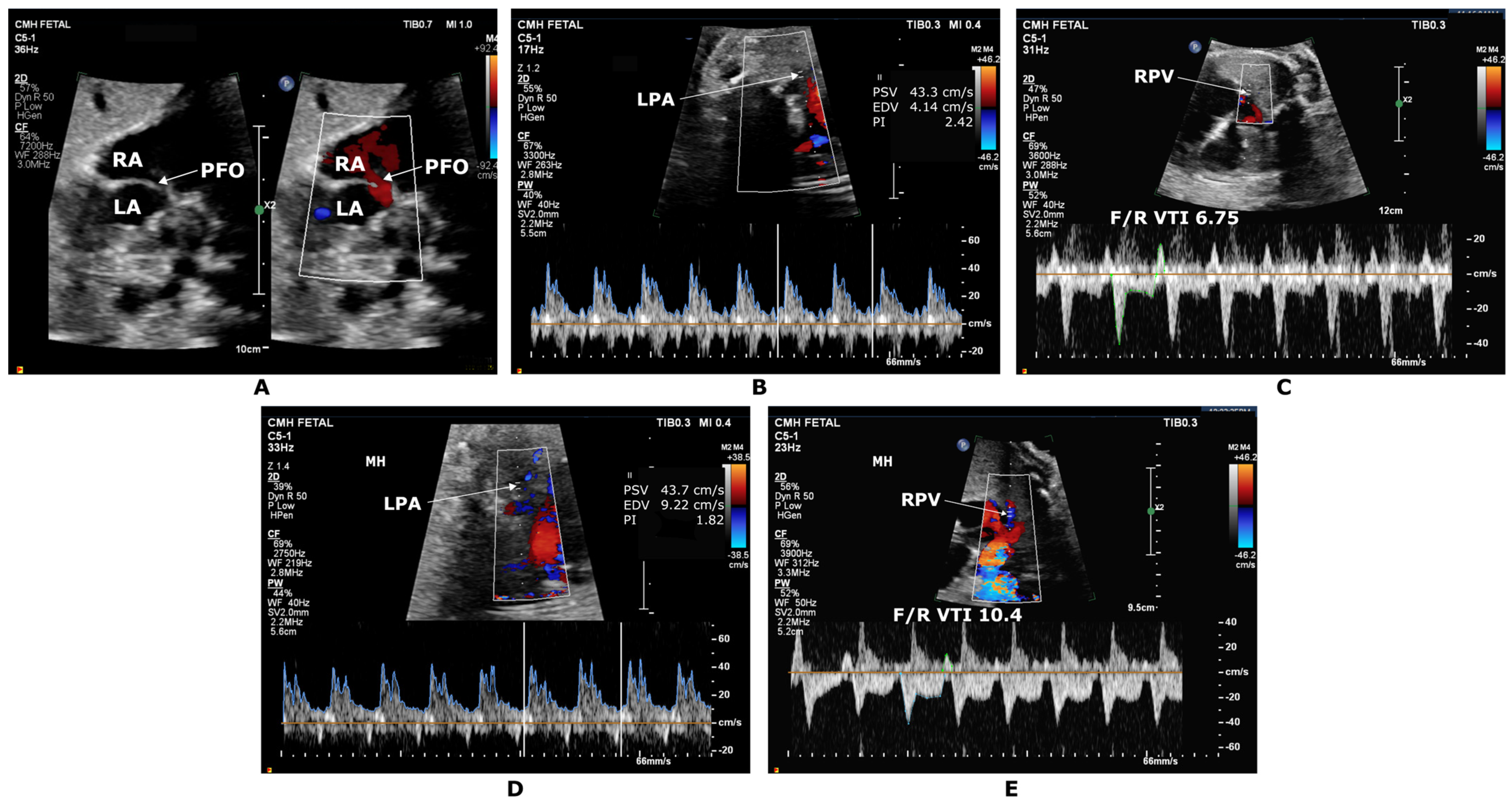 Children 10 00281 g002