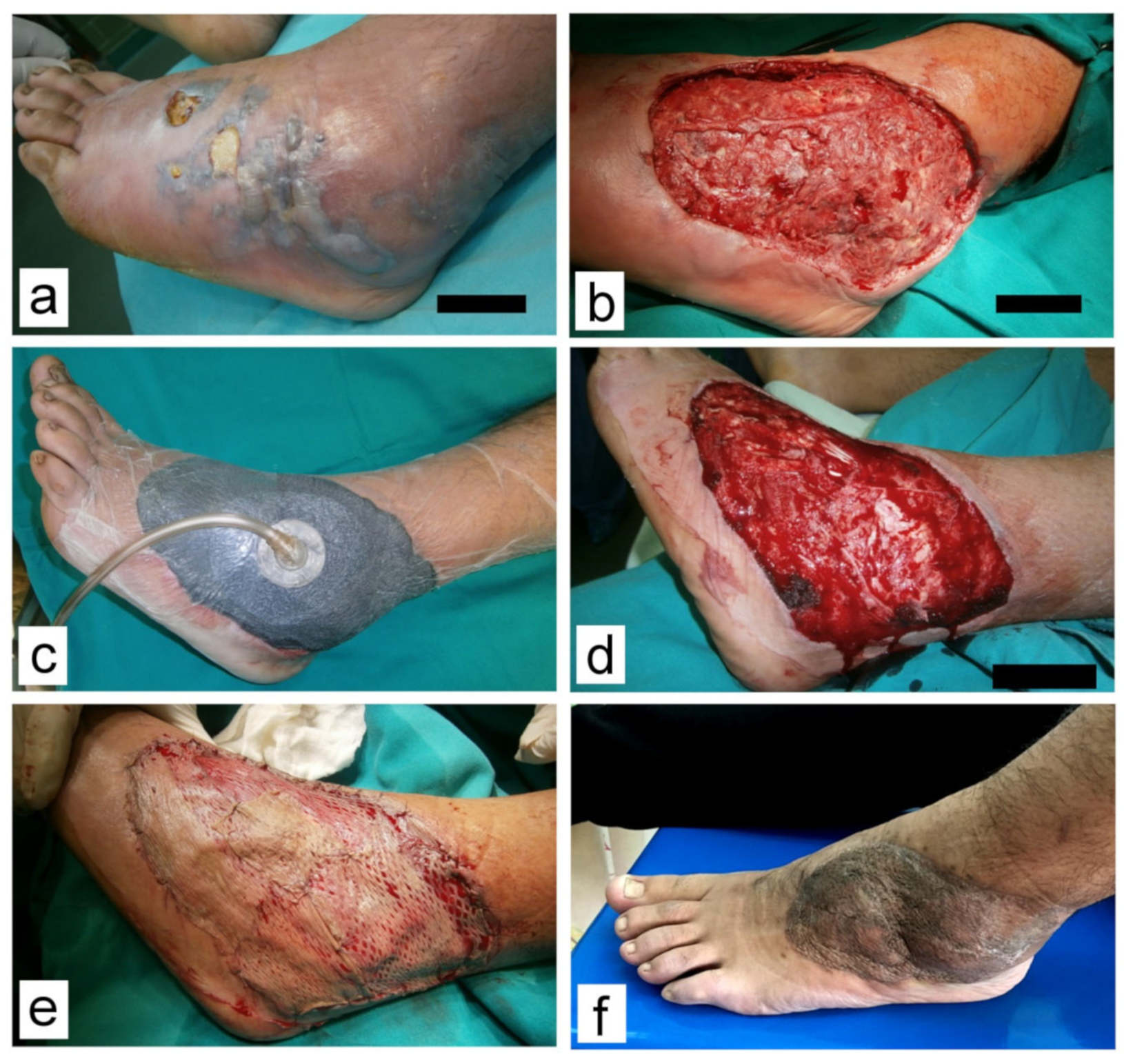 Children 10 00298 g002