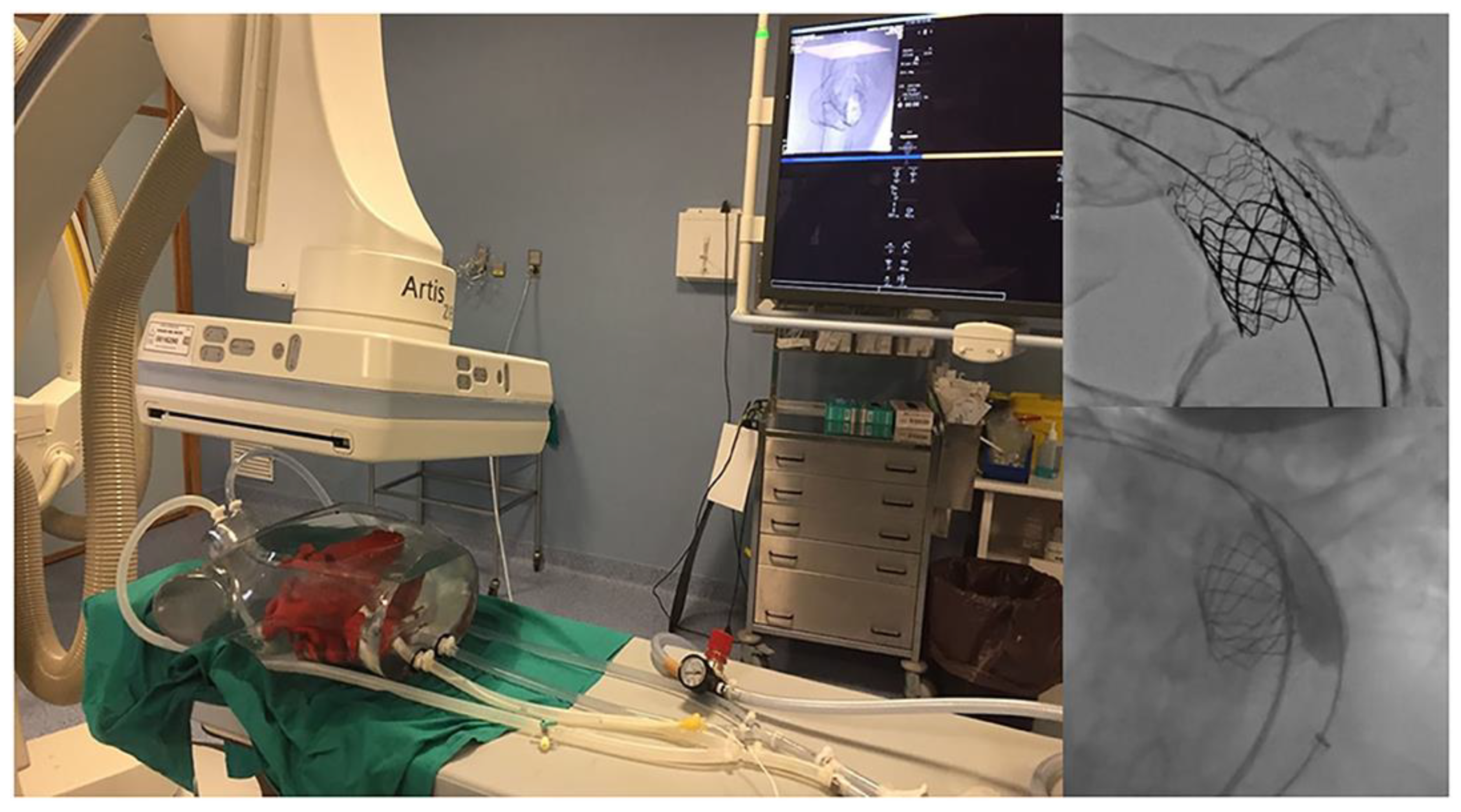 Children 10 00319 g011