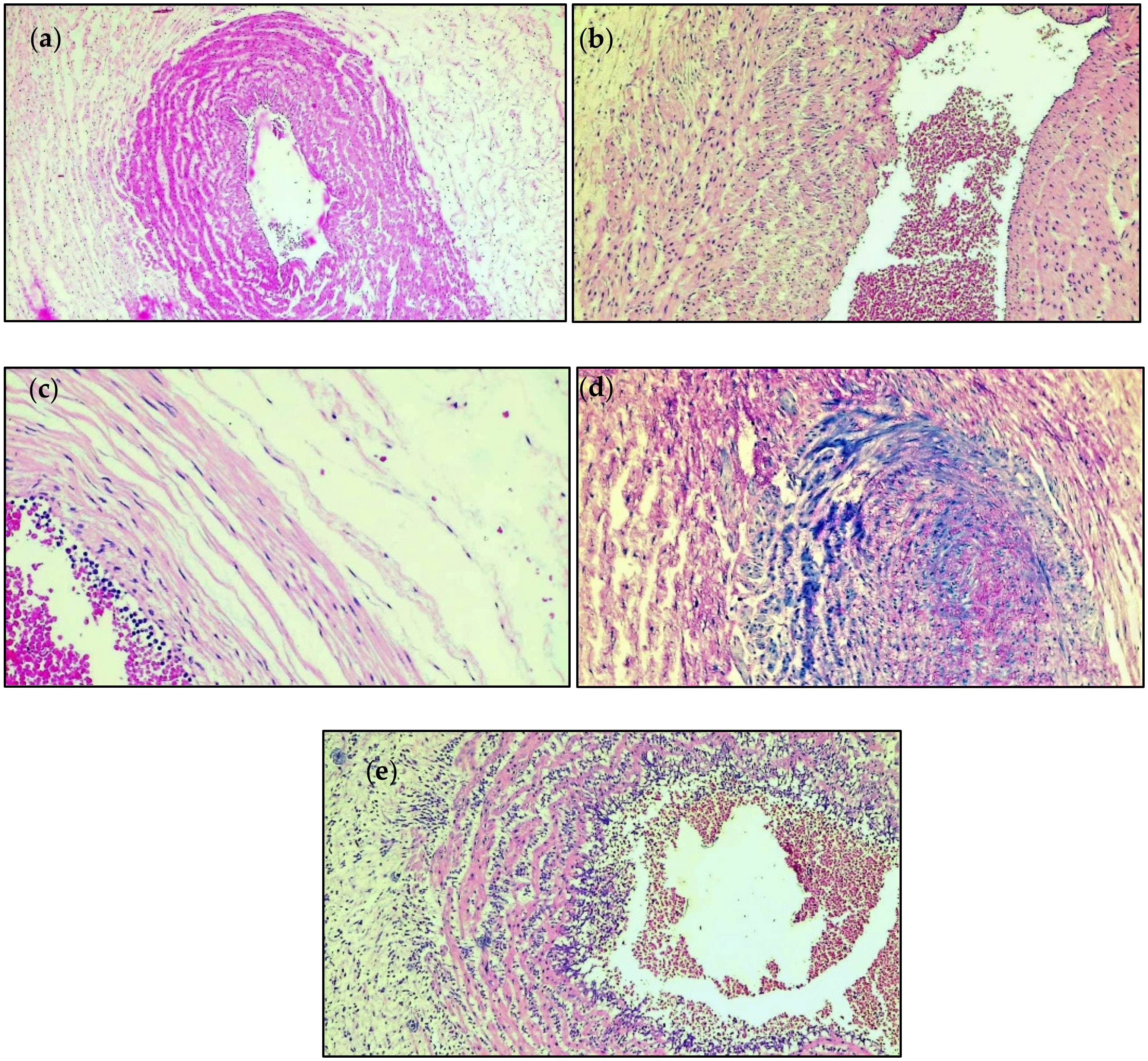 Children 10 00352 g001 Children 10 00352 g001