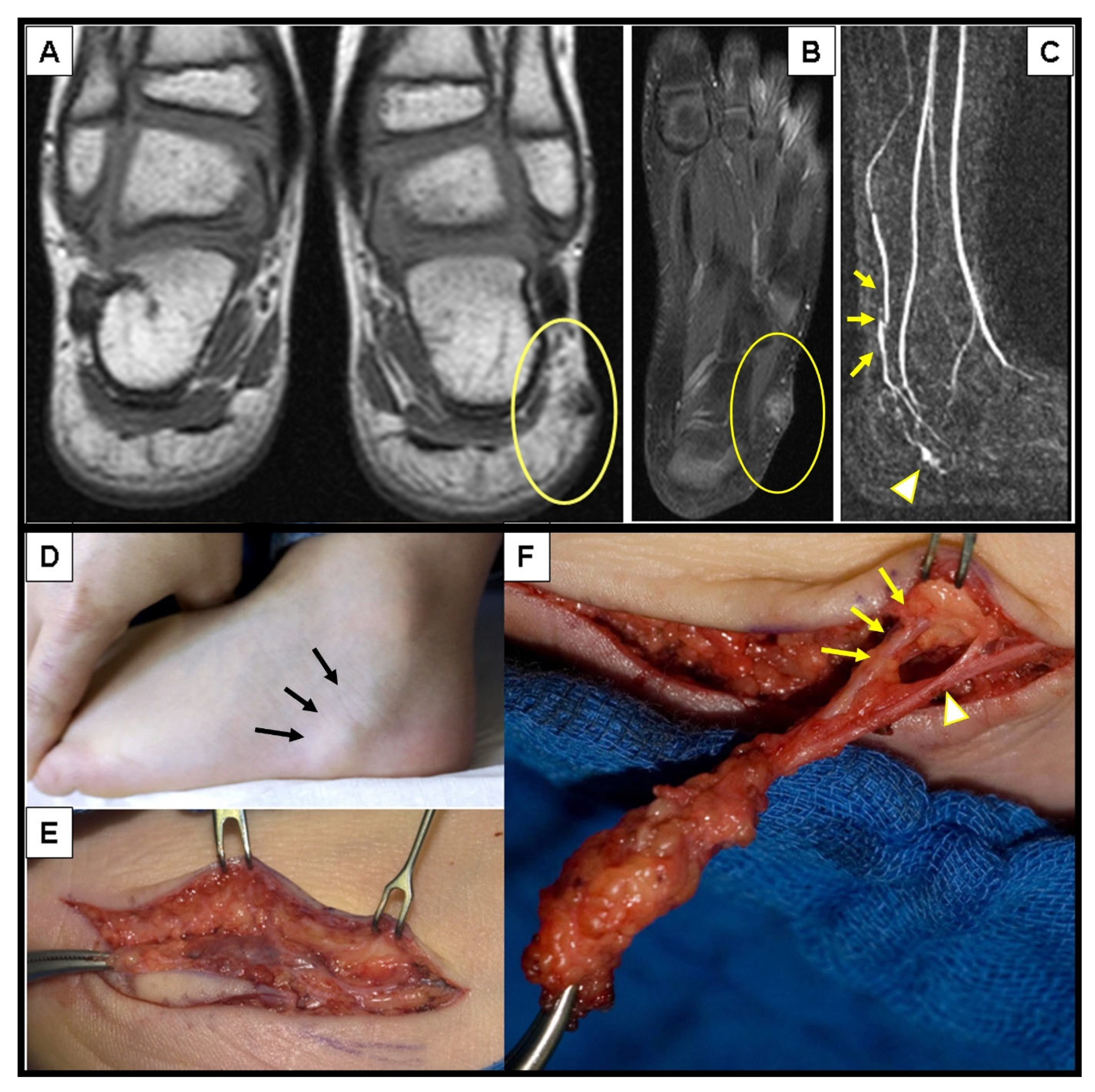 Children 10 00362 g001