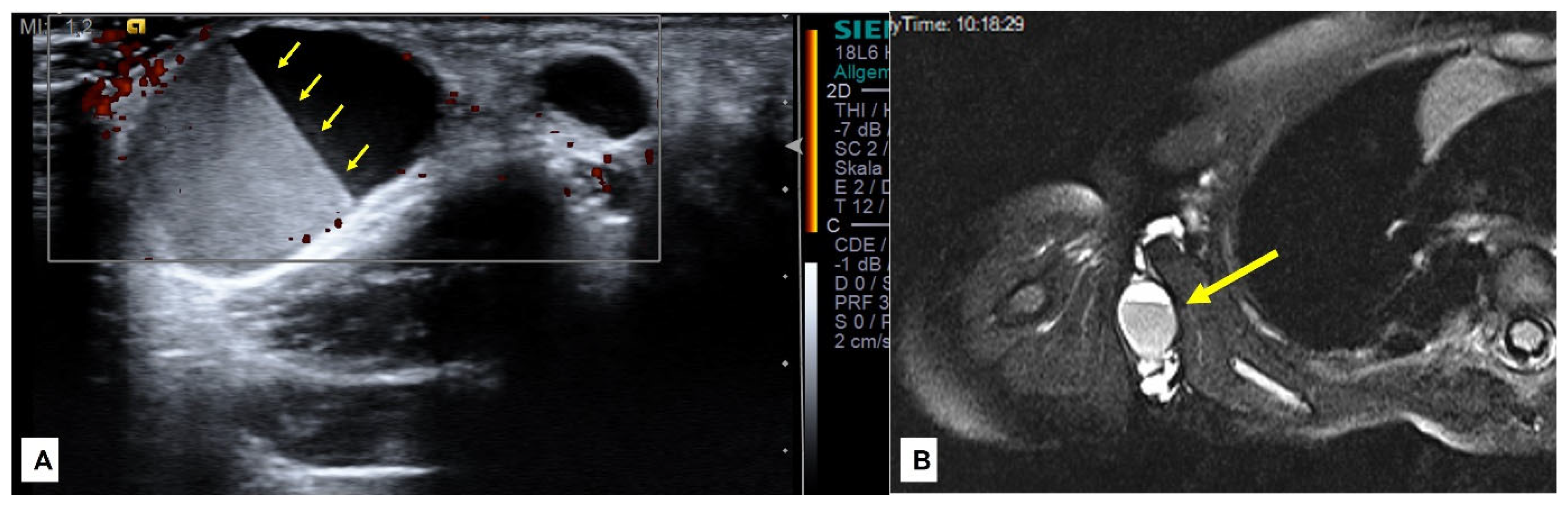 Children 10 00362 g005