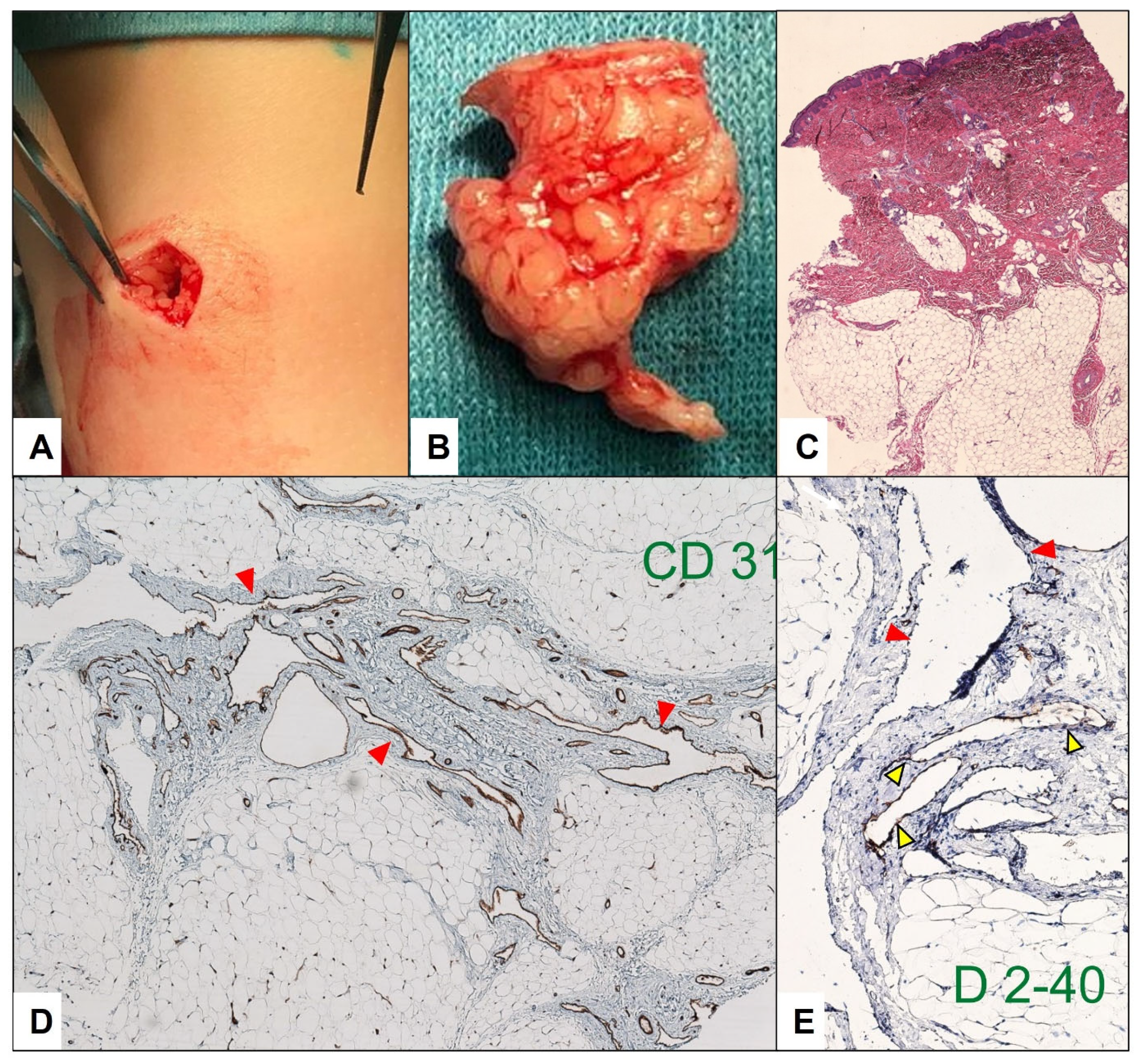 Children 10 00362 g008