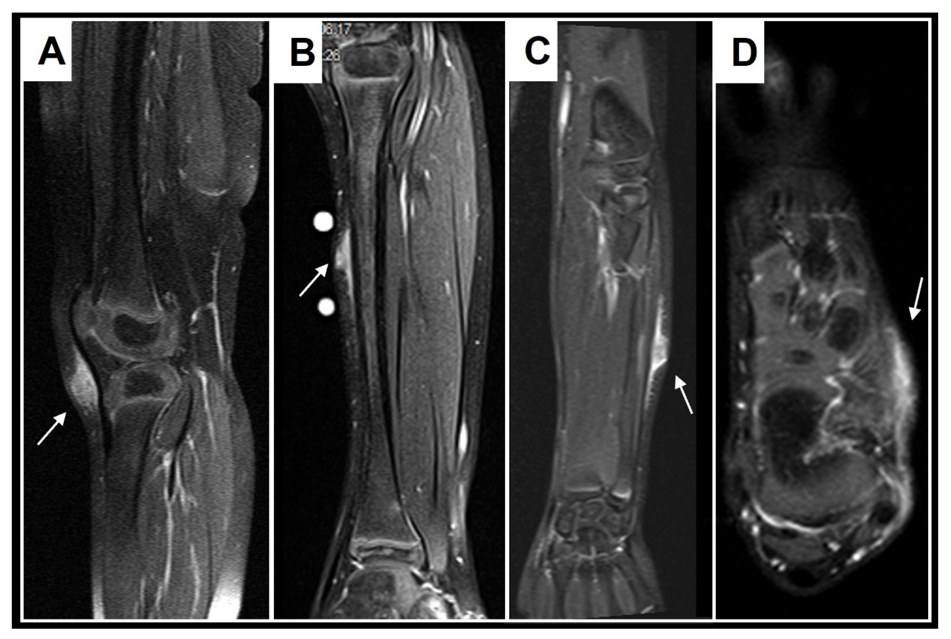 Children 10 00362 g010