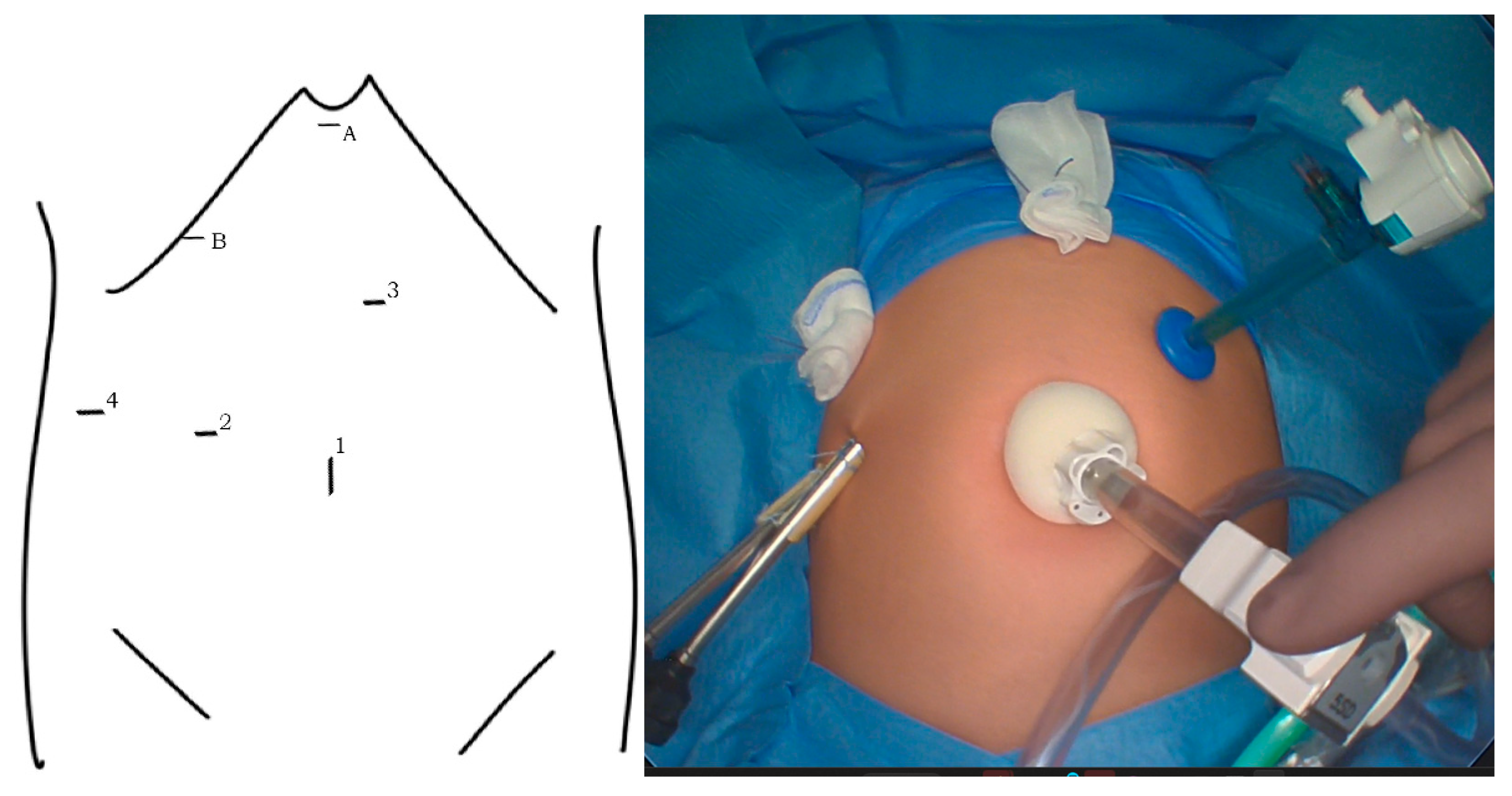 Children 10 00373 g001