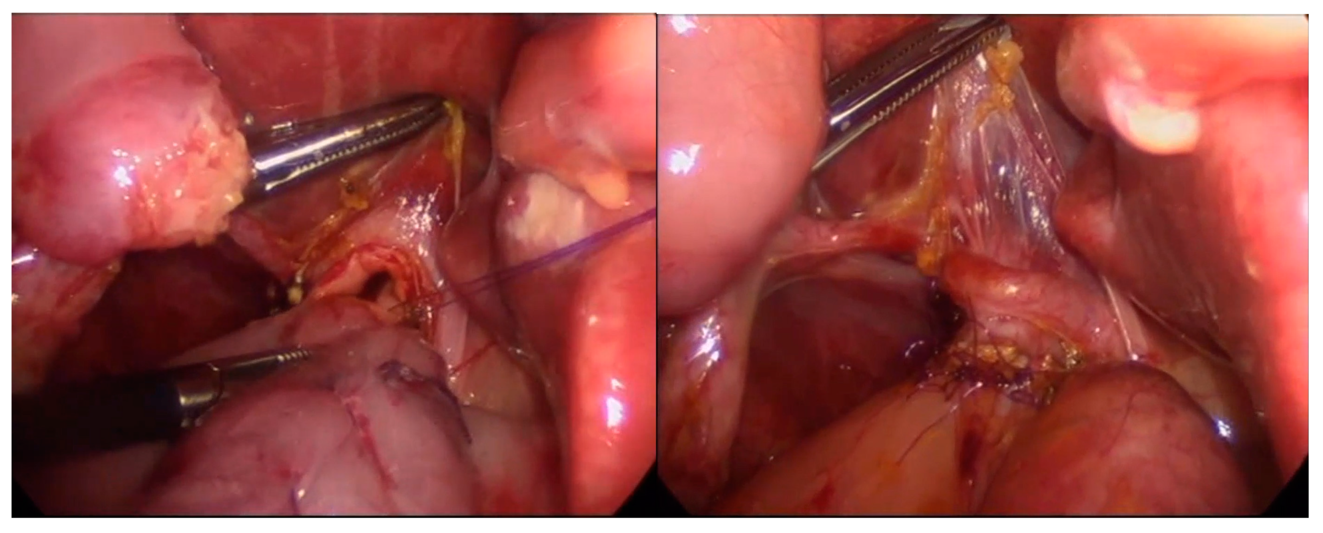 Children 10 00373 g002