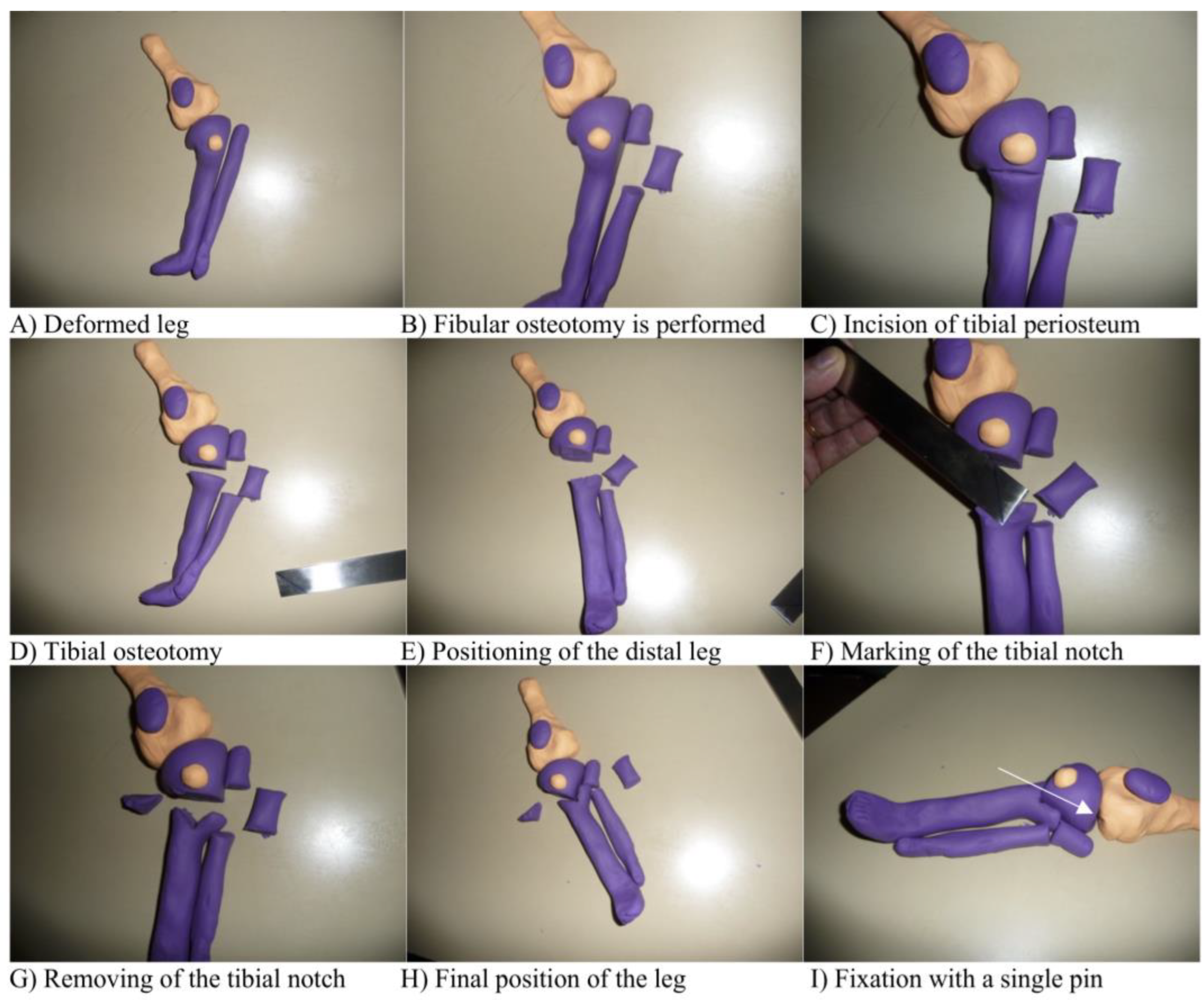 Children 10 00377 g001 Children 10 00377 g001