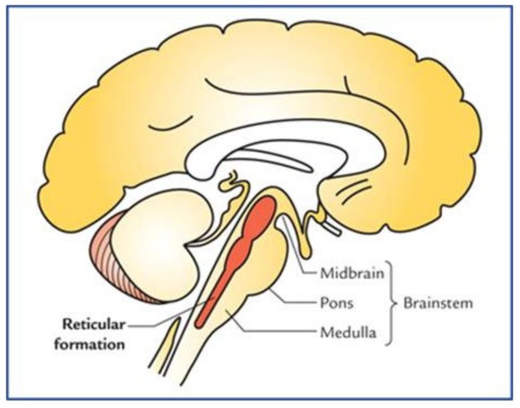 Children 10 00383 g002 Children 10 00383 g002