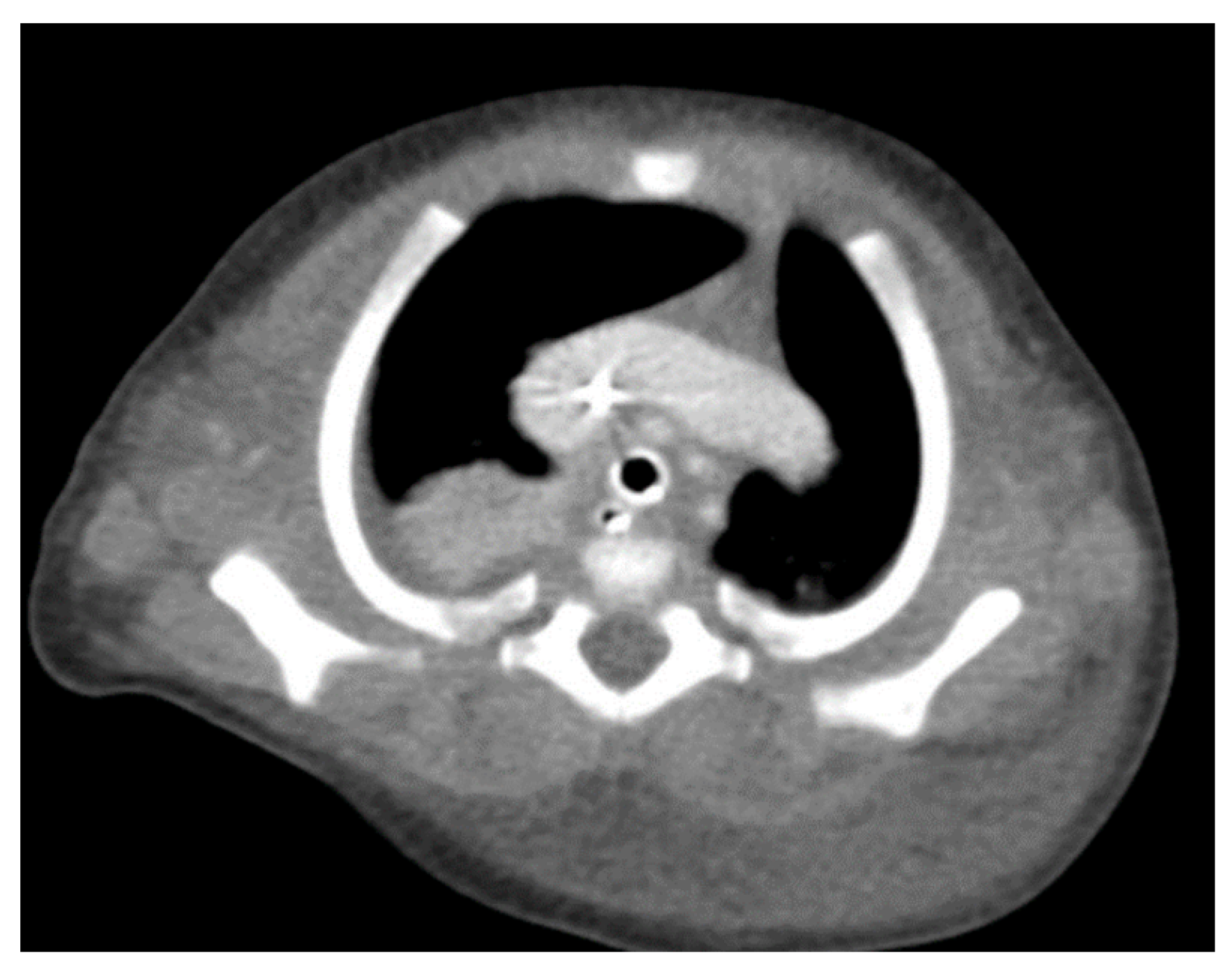 Children 10 00387 g001