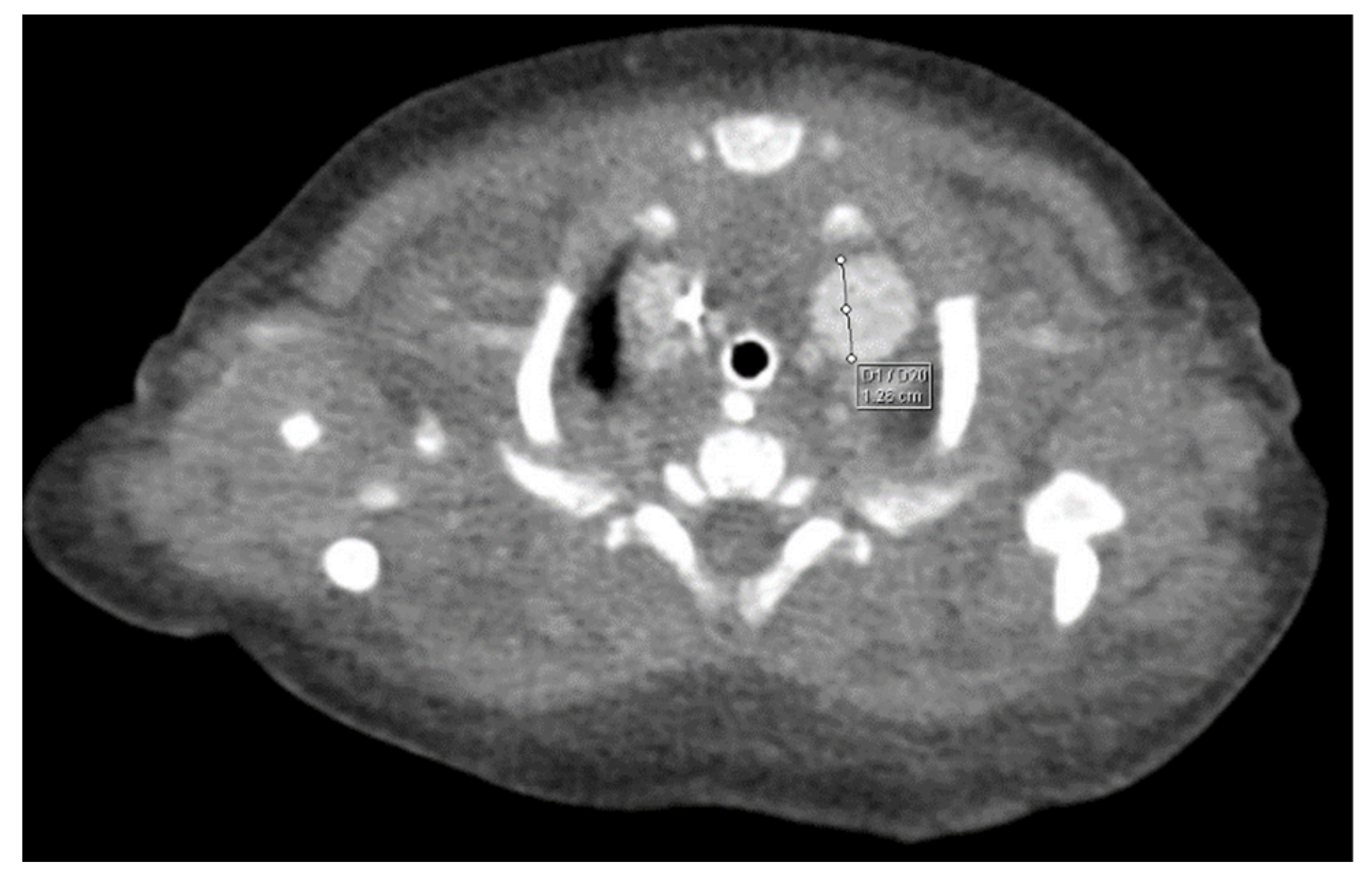 Children 10 00387 g002