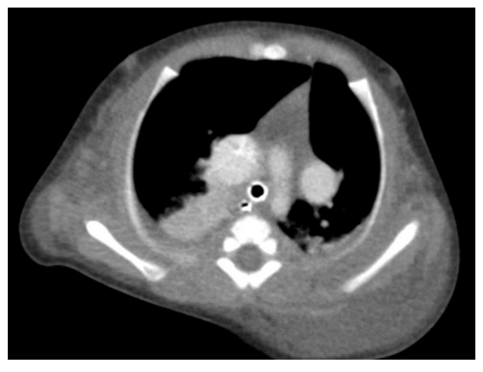 Children 10 00387 g003