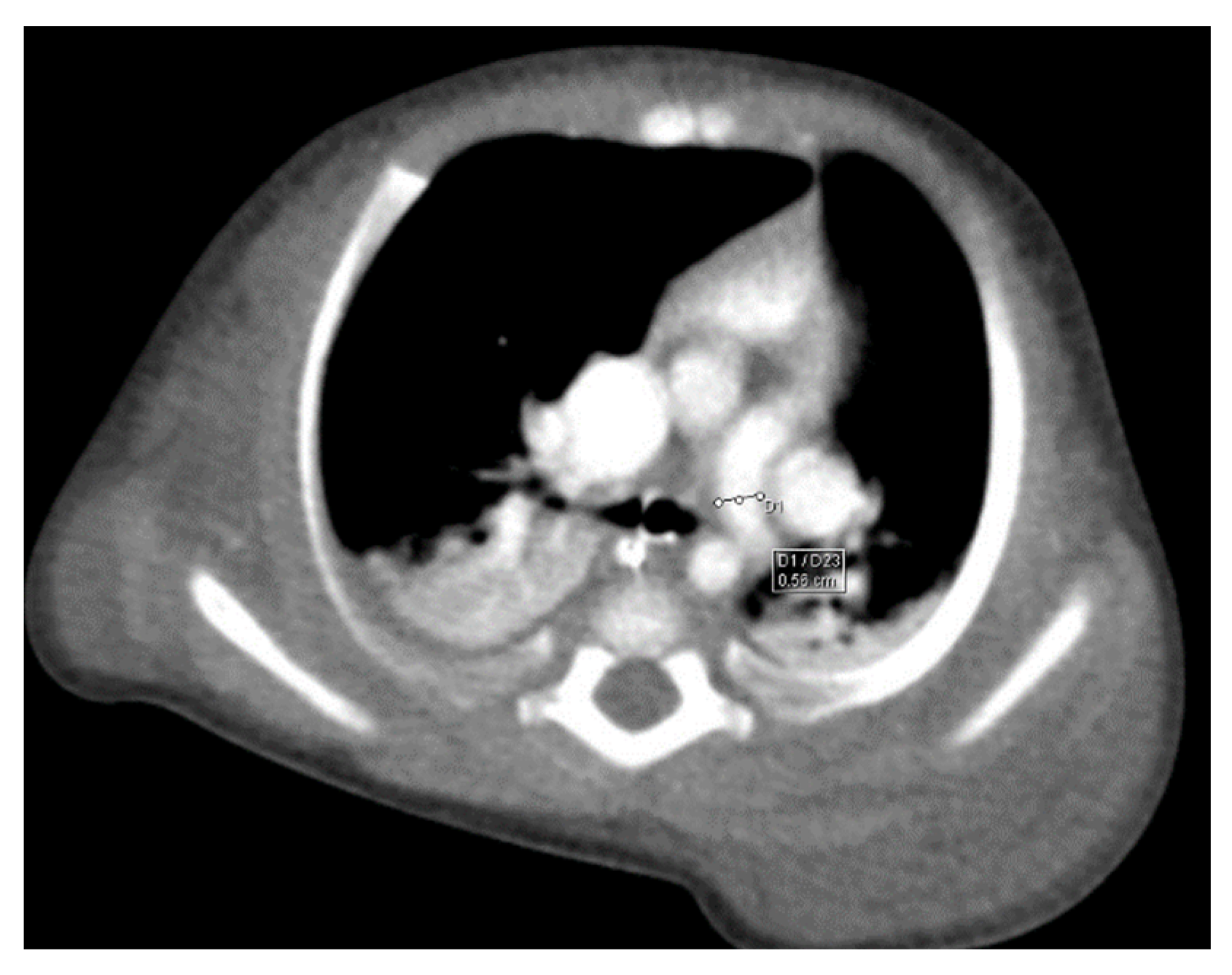 Children 10 00387 g005