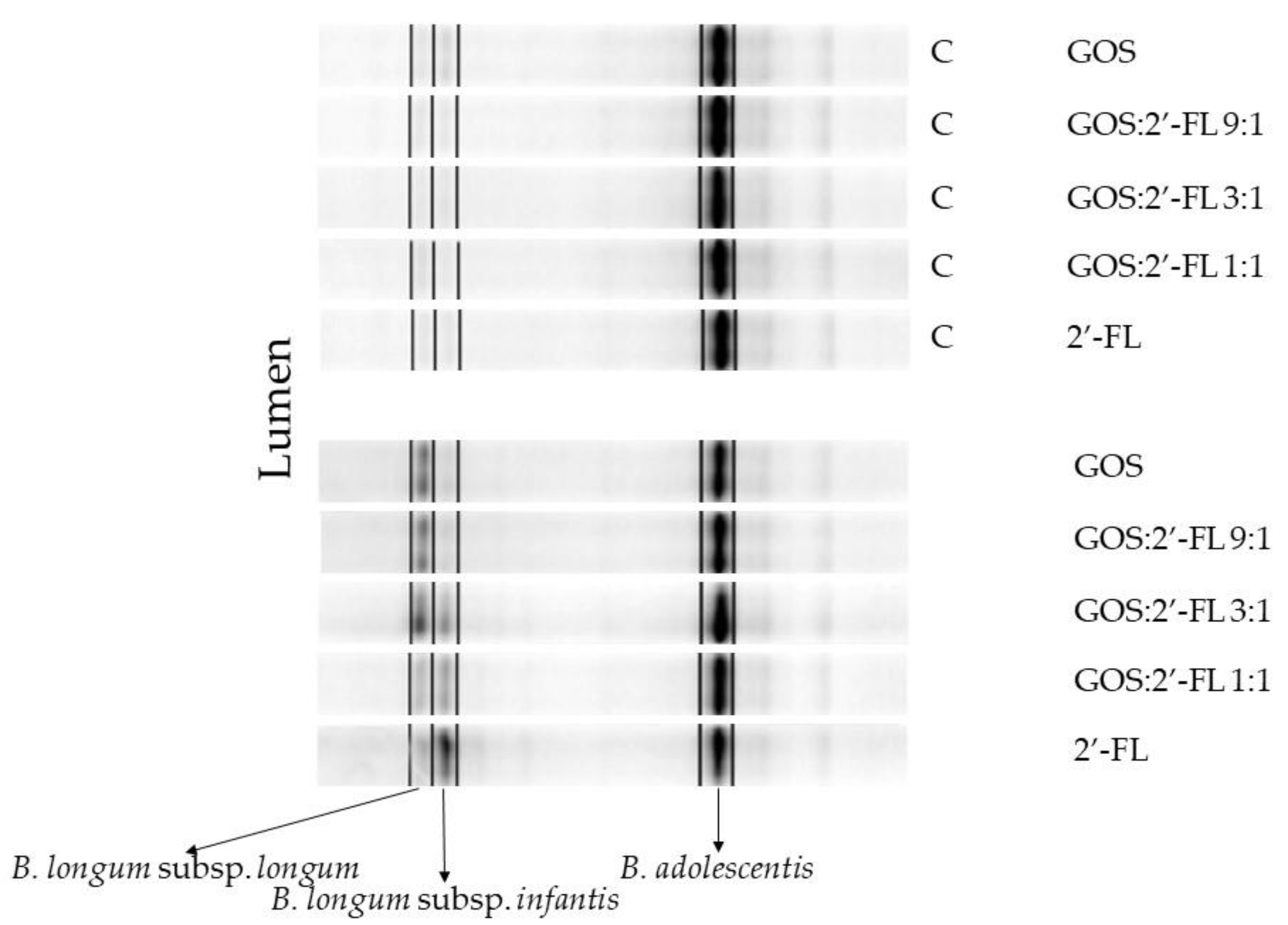 Children 10 00430 g004 Children 10 00430 g004