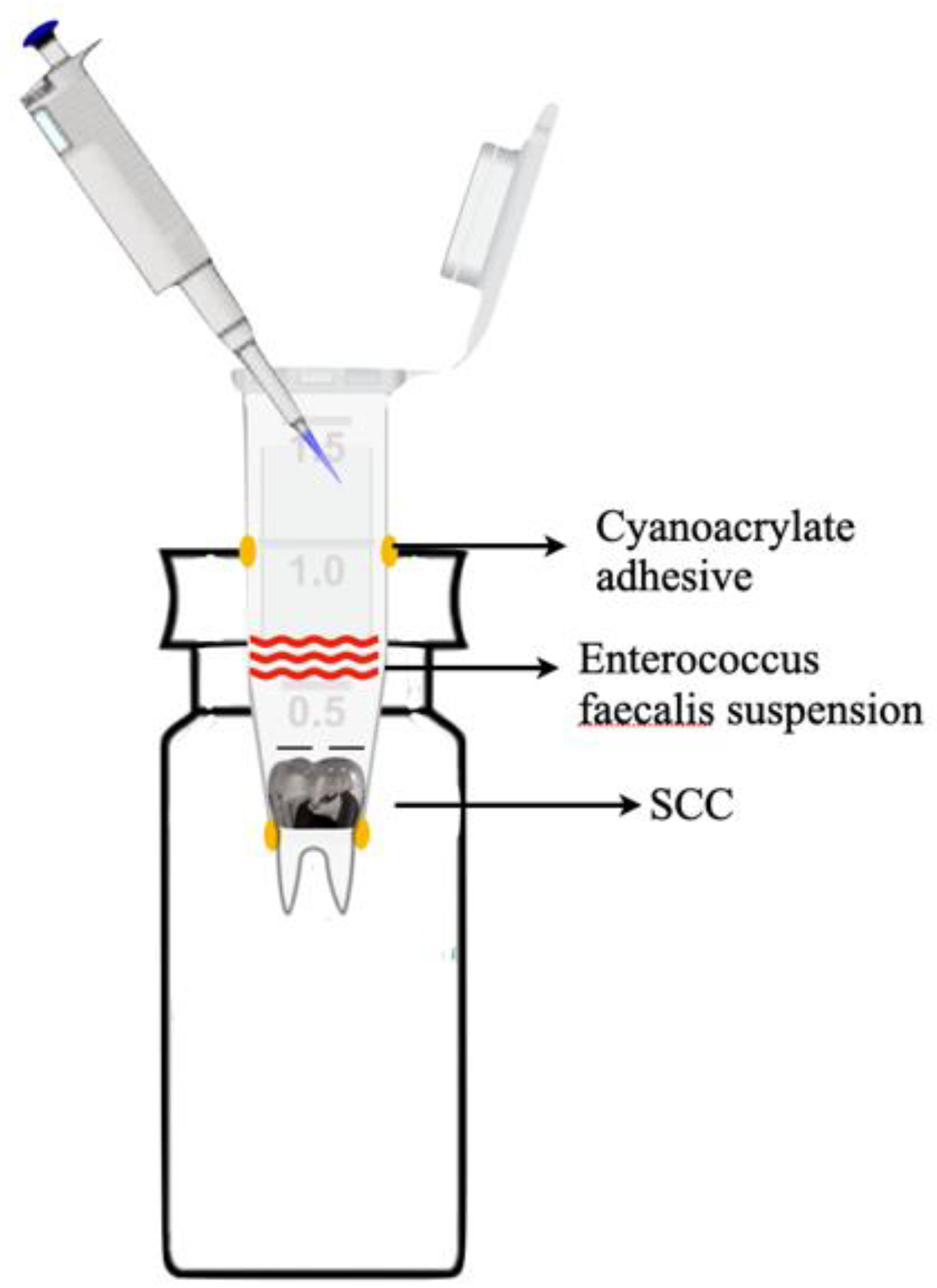 Children 10 00457 g001 Children 10 00457 g001