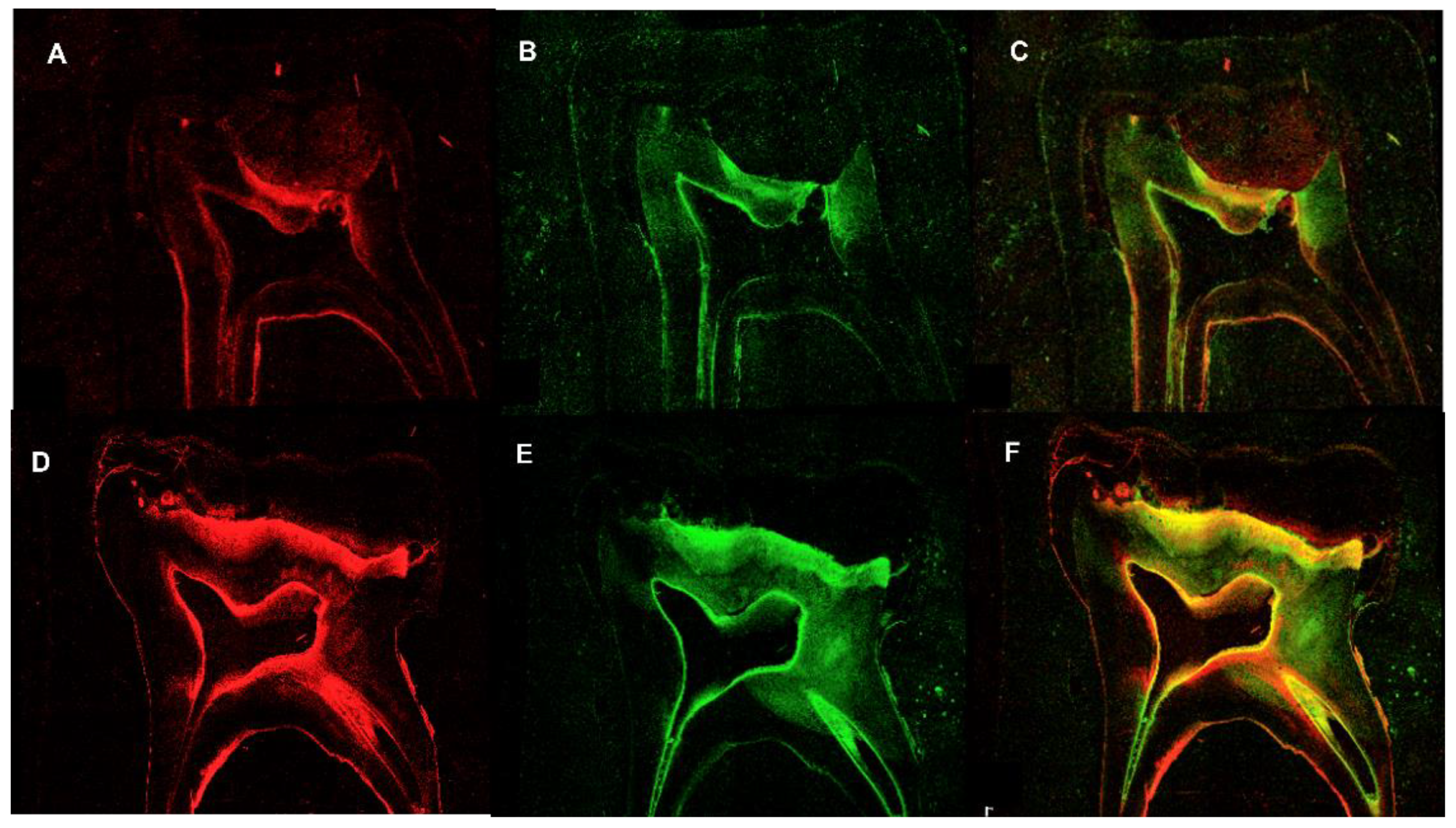 Children 10 00457 g003 Children 10 00457 g003