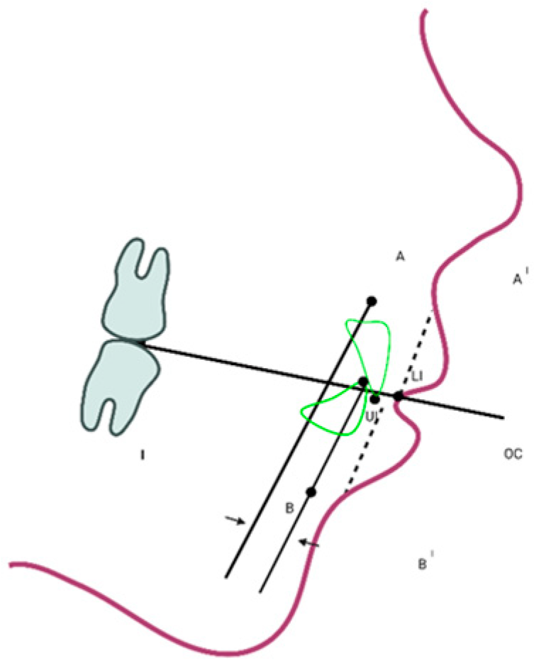 Children 10 00459 g002