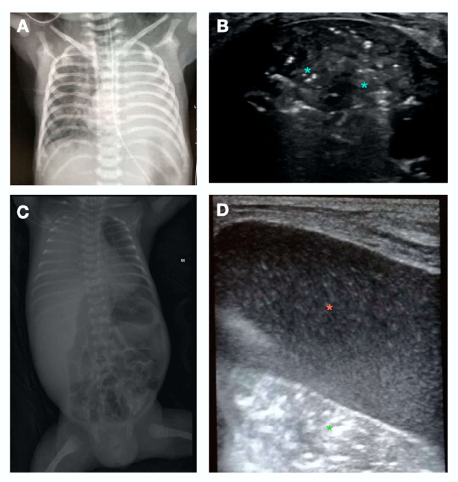 Children 10 00462 g005