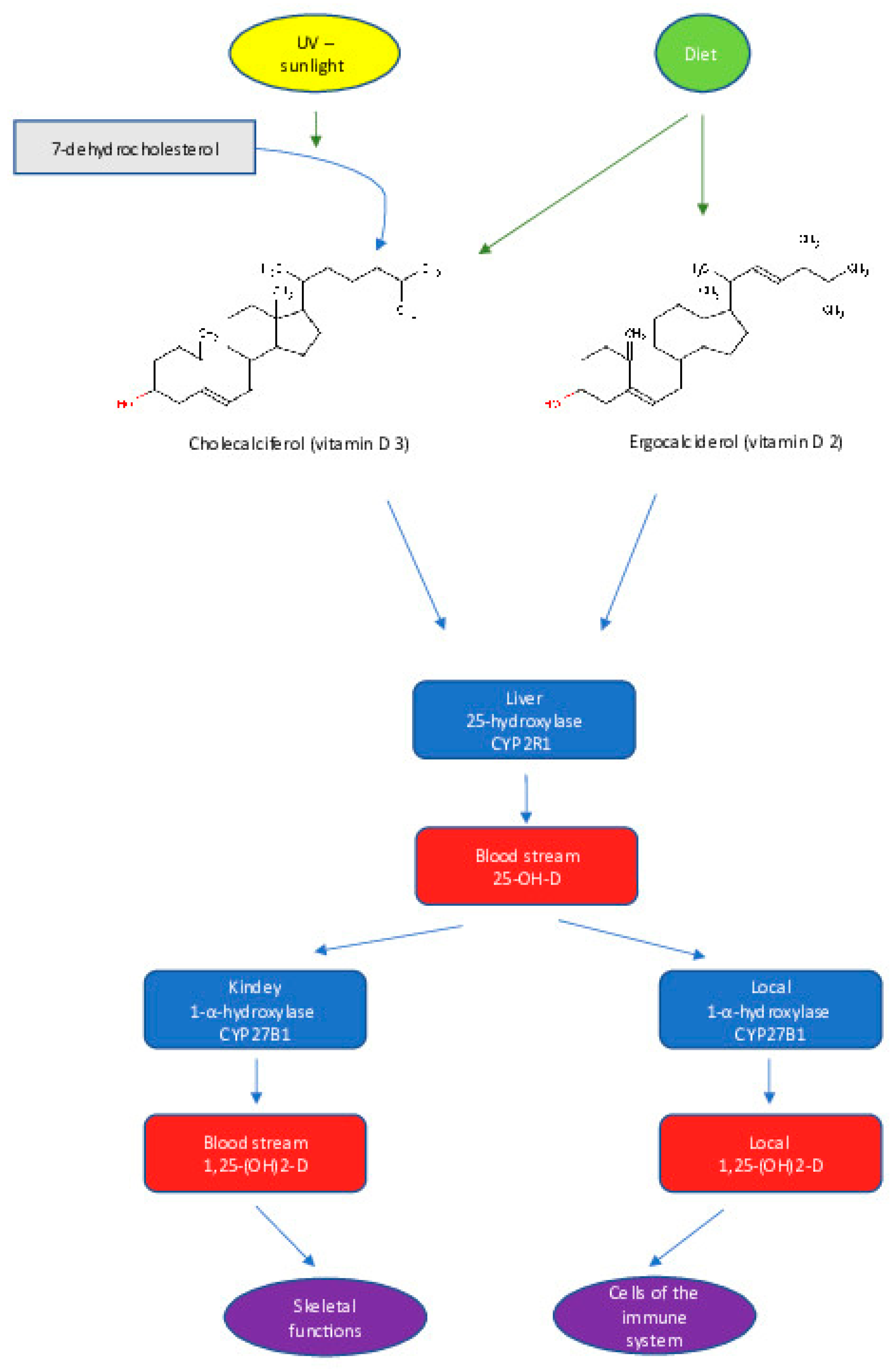 Children 10 00468 g001