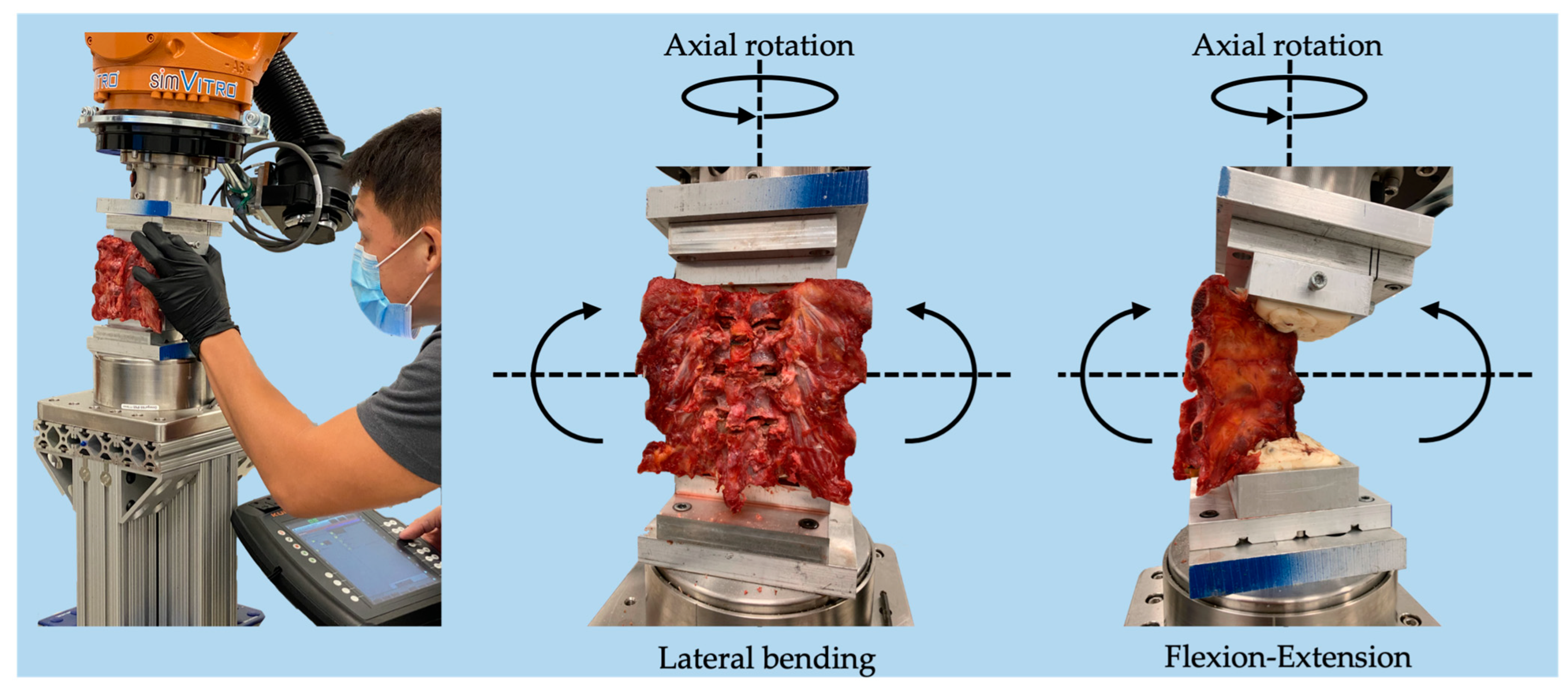 Children 10 00470 g003 Children 10 00470 g003