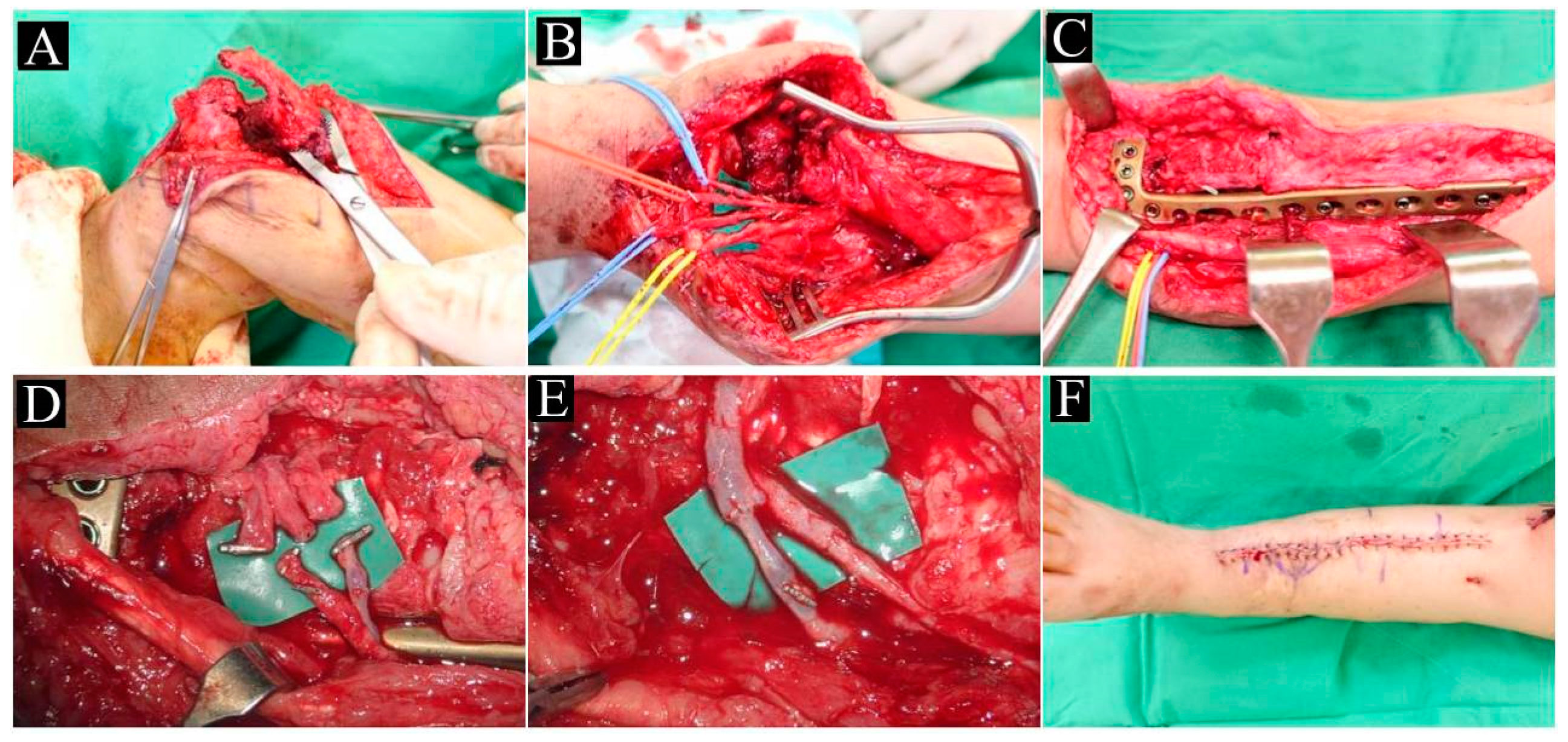 Children 10 00503 g002