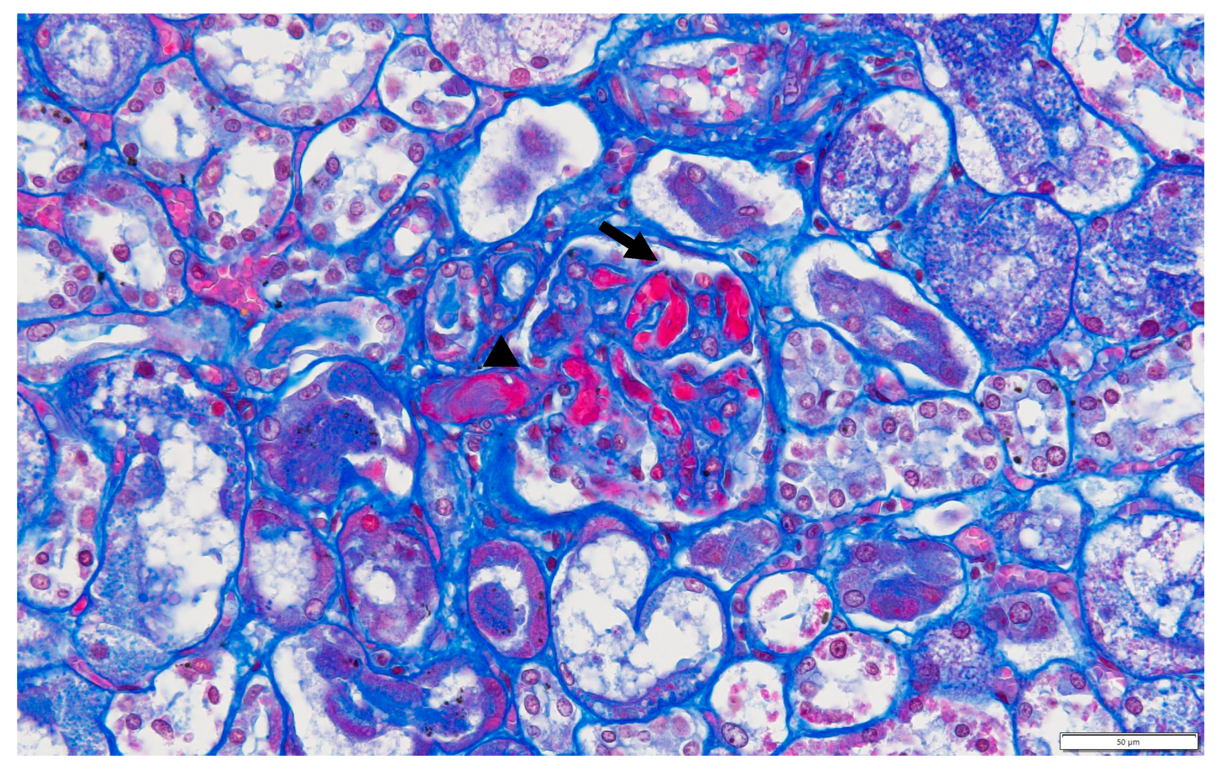 Children 10 00506 g002